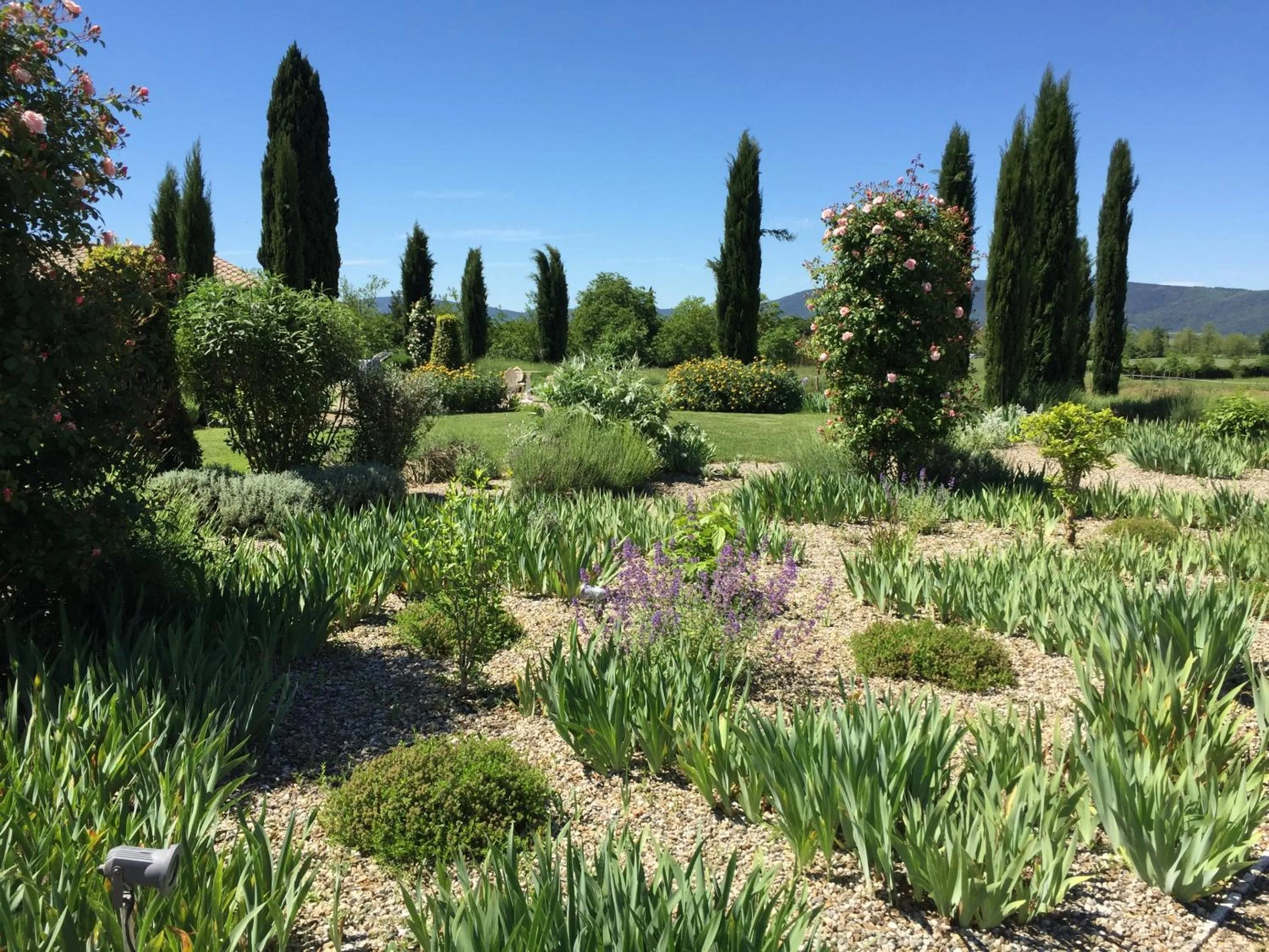 Garden in Rinidia Bio