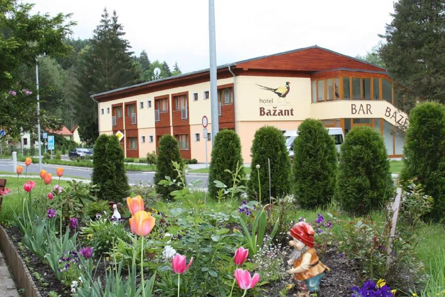 Property building in Hotel Bazant