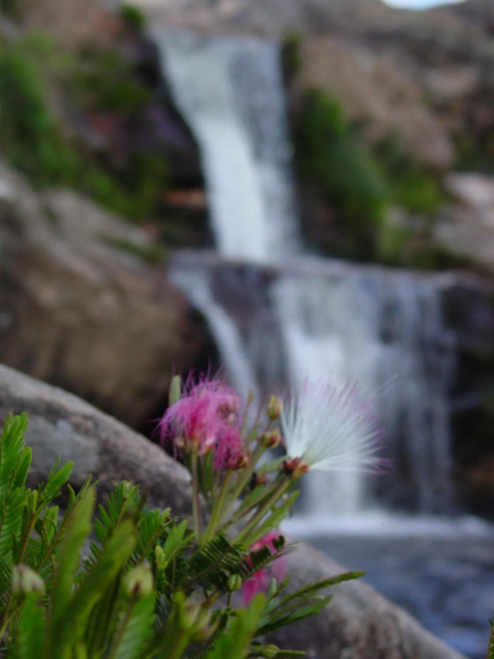 Day in Diamante Palace Hotel