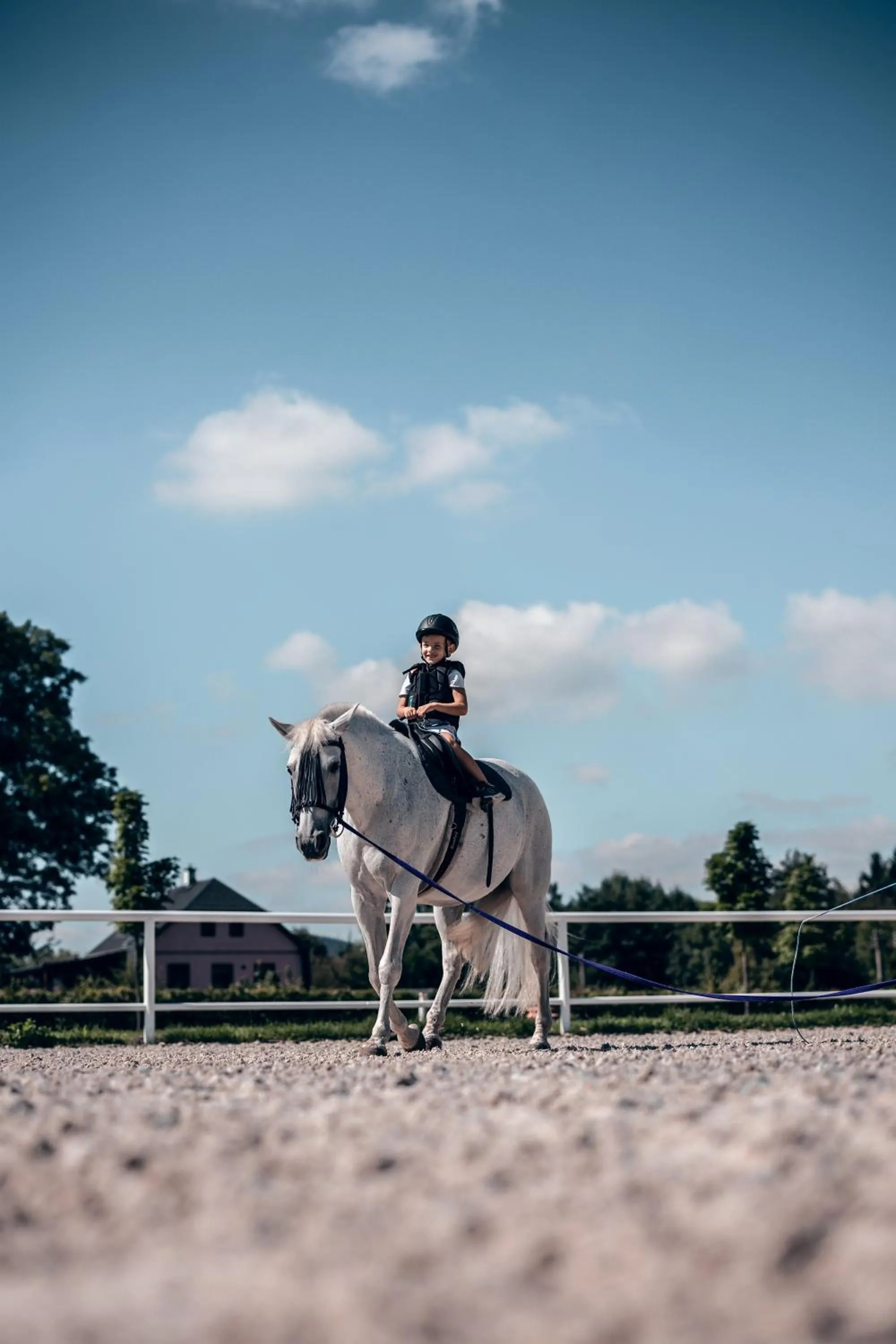 Horse-riding in Apartmán-Hotel Jítravský Dvorec
