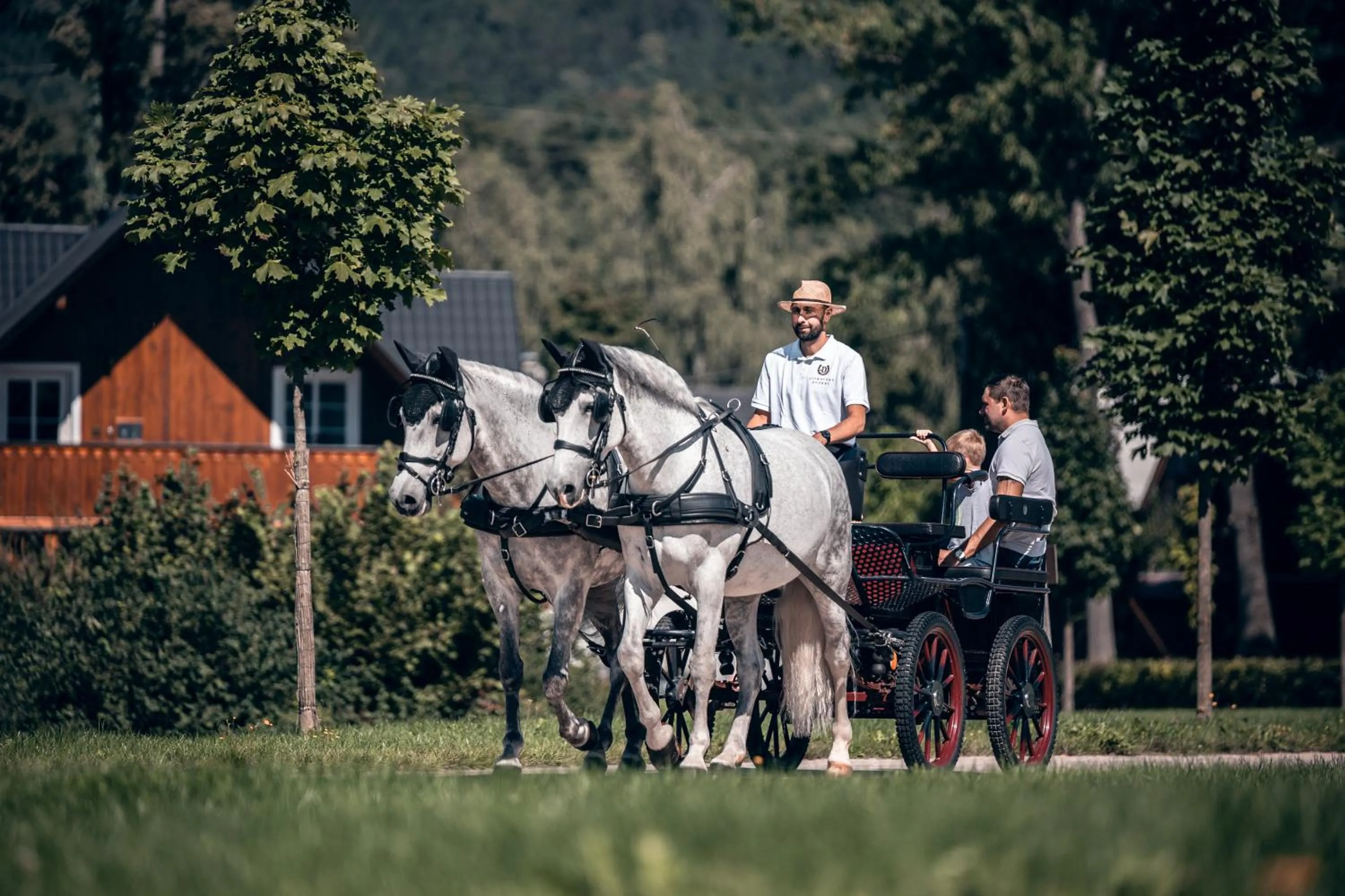 Horse-riding in Apartmán-Hotel Jítravský Dvorec