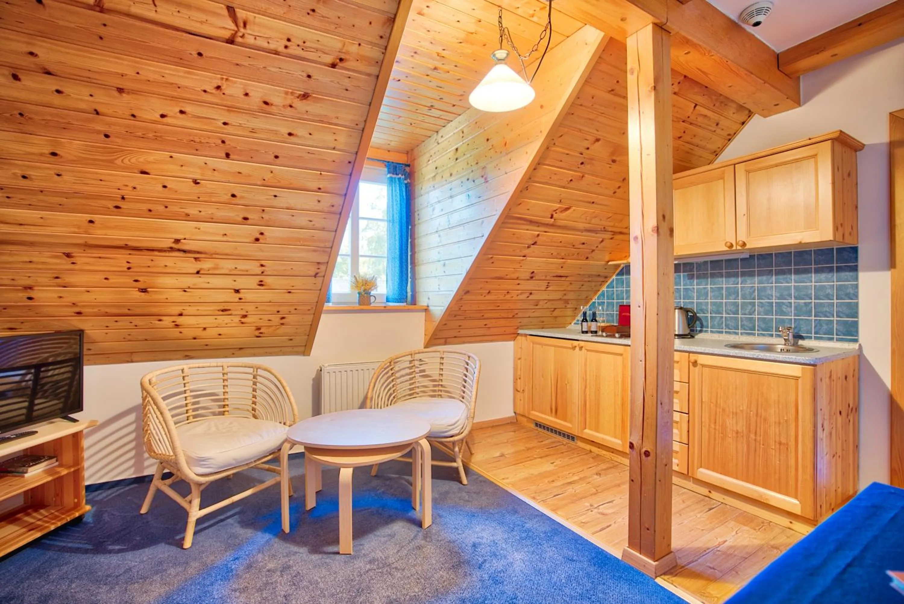 TV and multimedia in Apartmán-Hotel Jítravský Dvorec