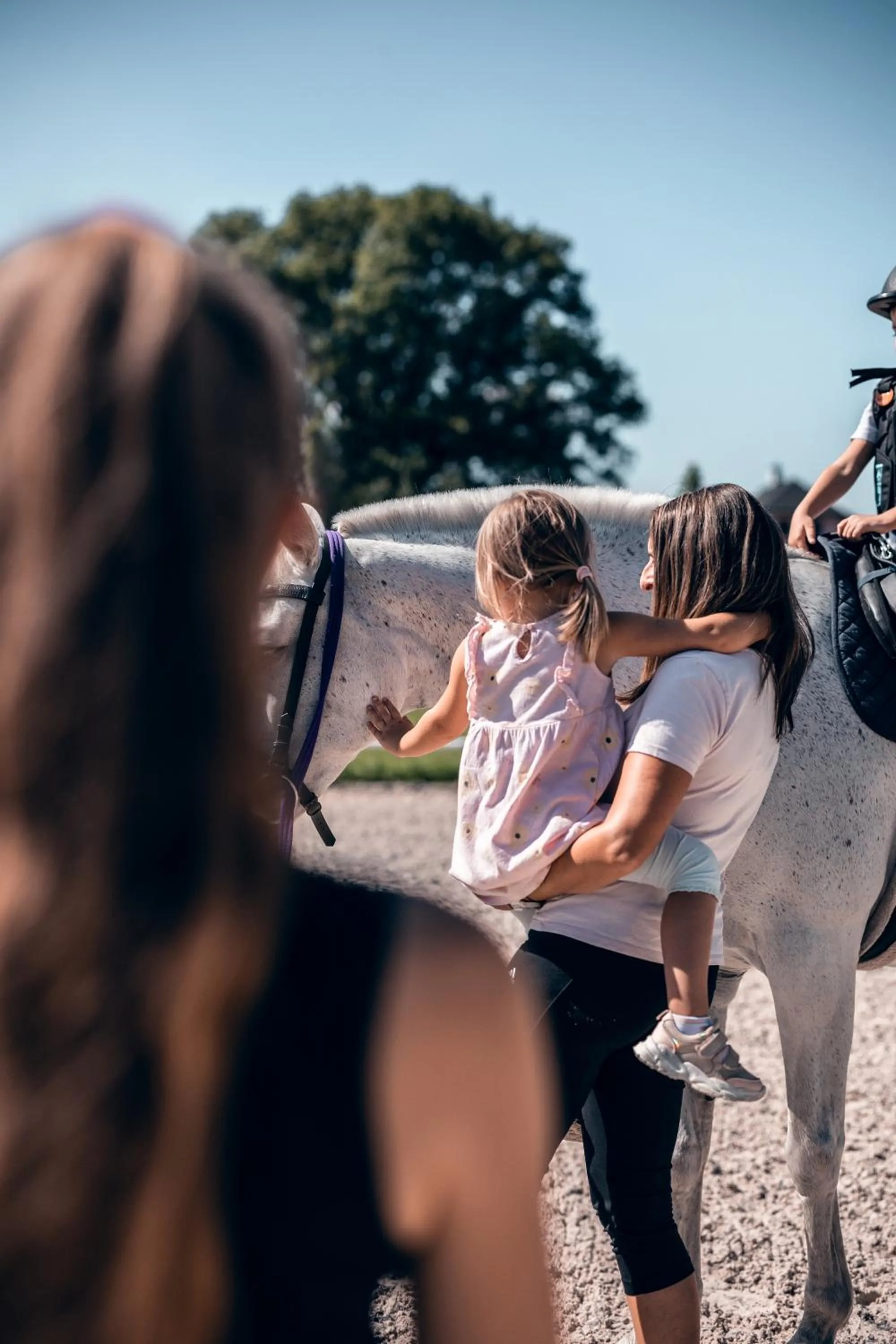 Horse-riding in Apartmán-Hotel Jítravský Dvorec