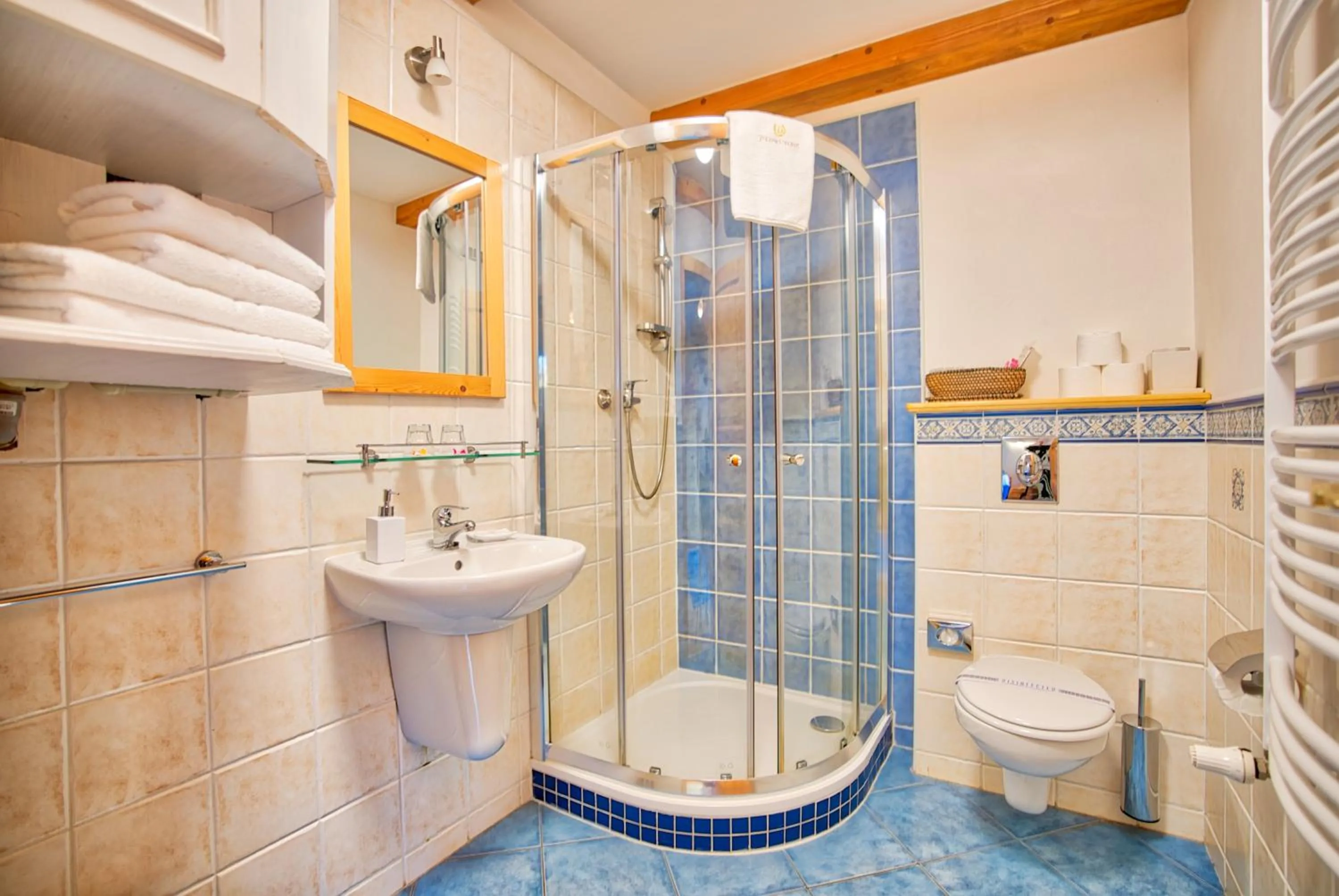 Shower in Apartmán-Hotel Jítravský Dvorec