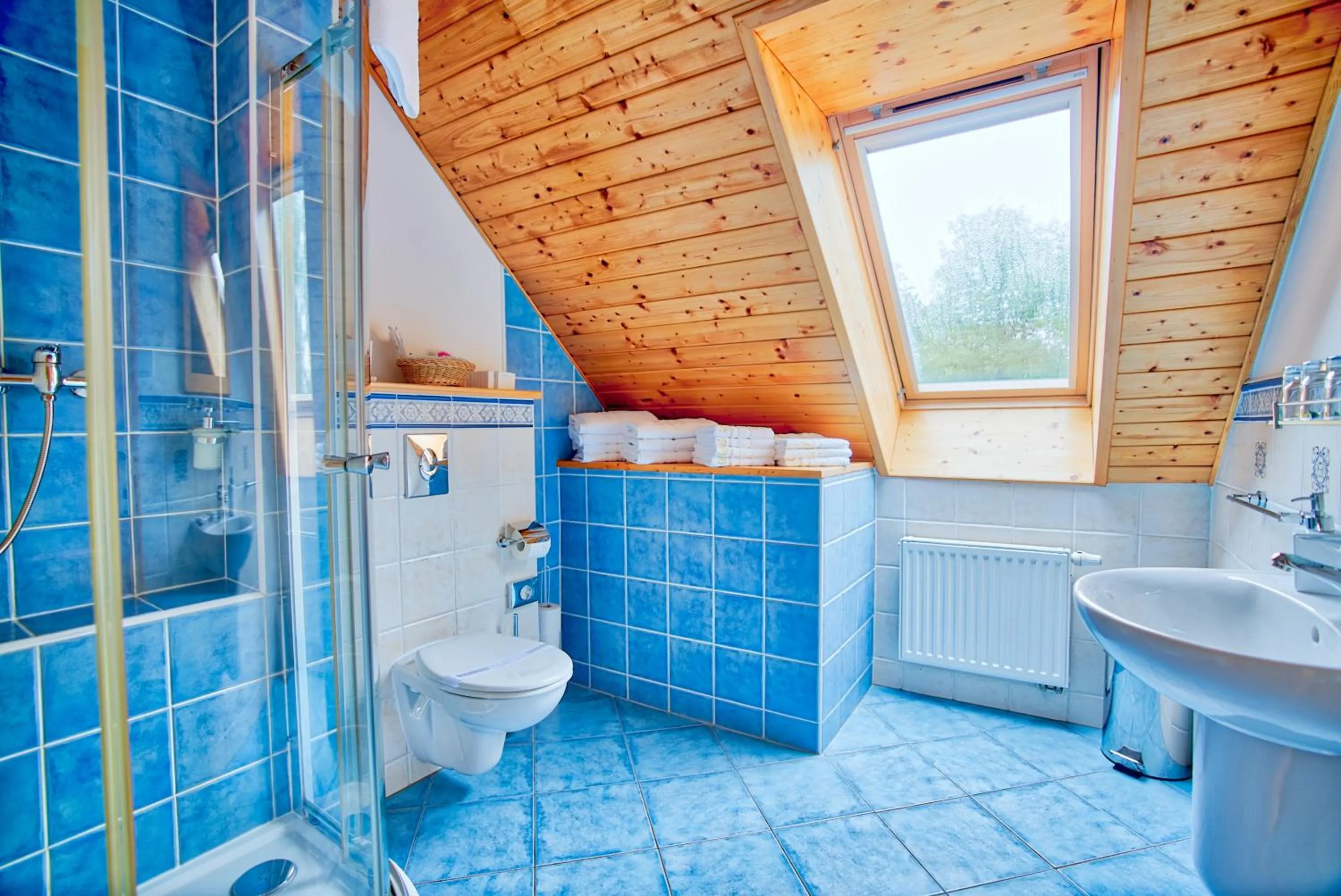 Shower in Apartmán-Hotel Jítravský Dvorec