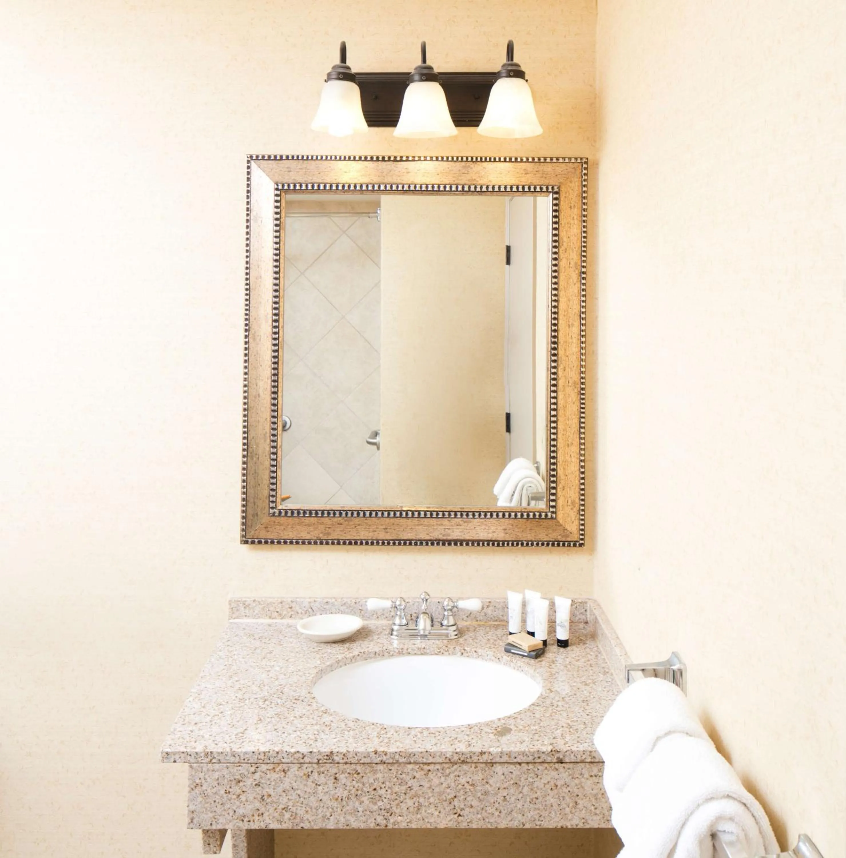 Bathroom in Red Lion Hotel Boise Downtowner