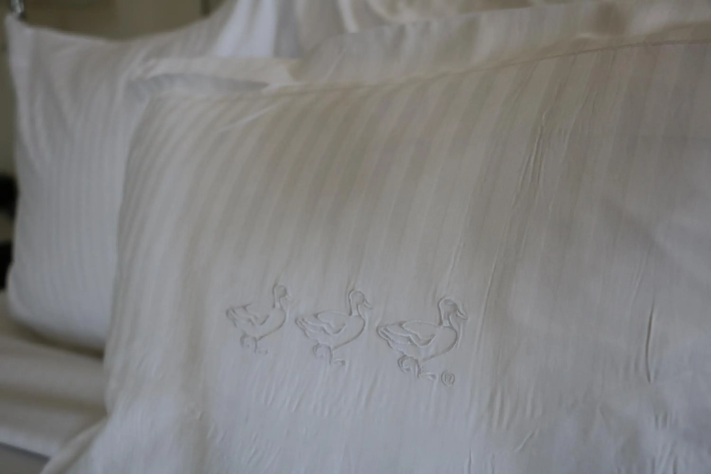 Bed in Peabody Memphis Bed in Peabody Memphis