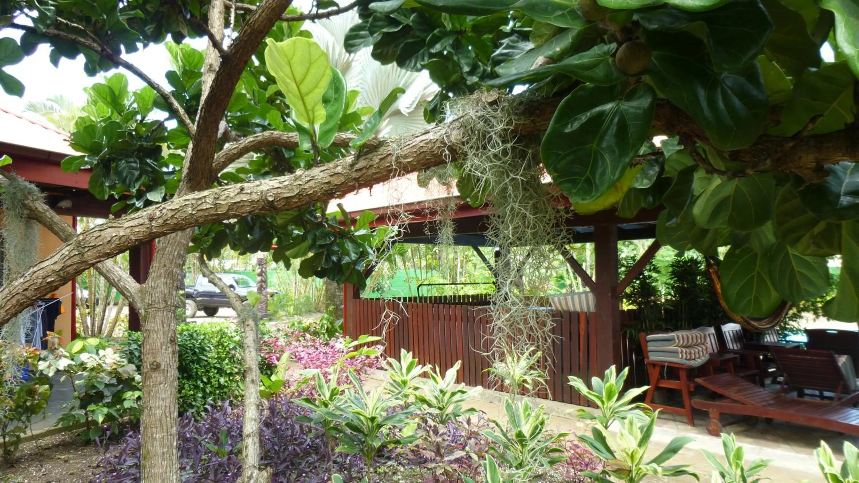 Garden in Kekemba Apartments Paramaribo