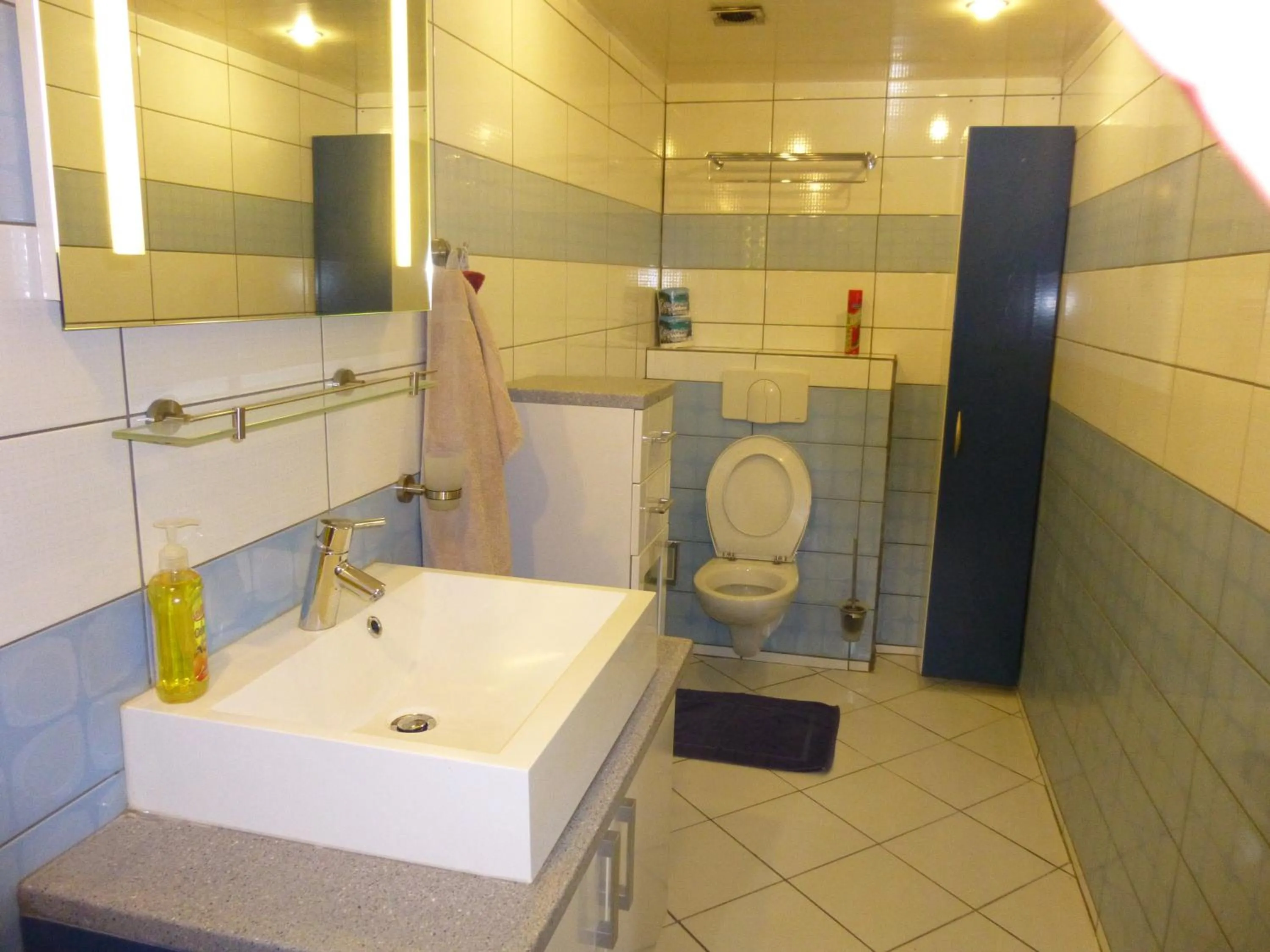 Toilet in Kekemba Apartments Paramaribo