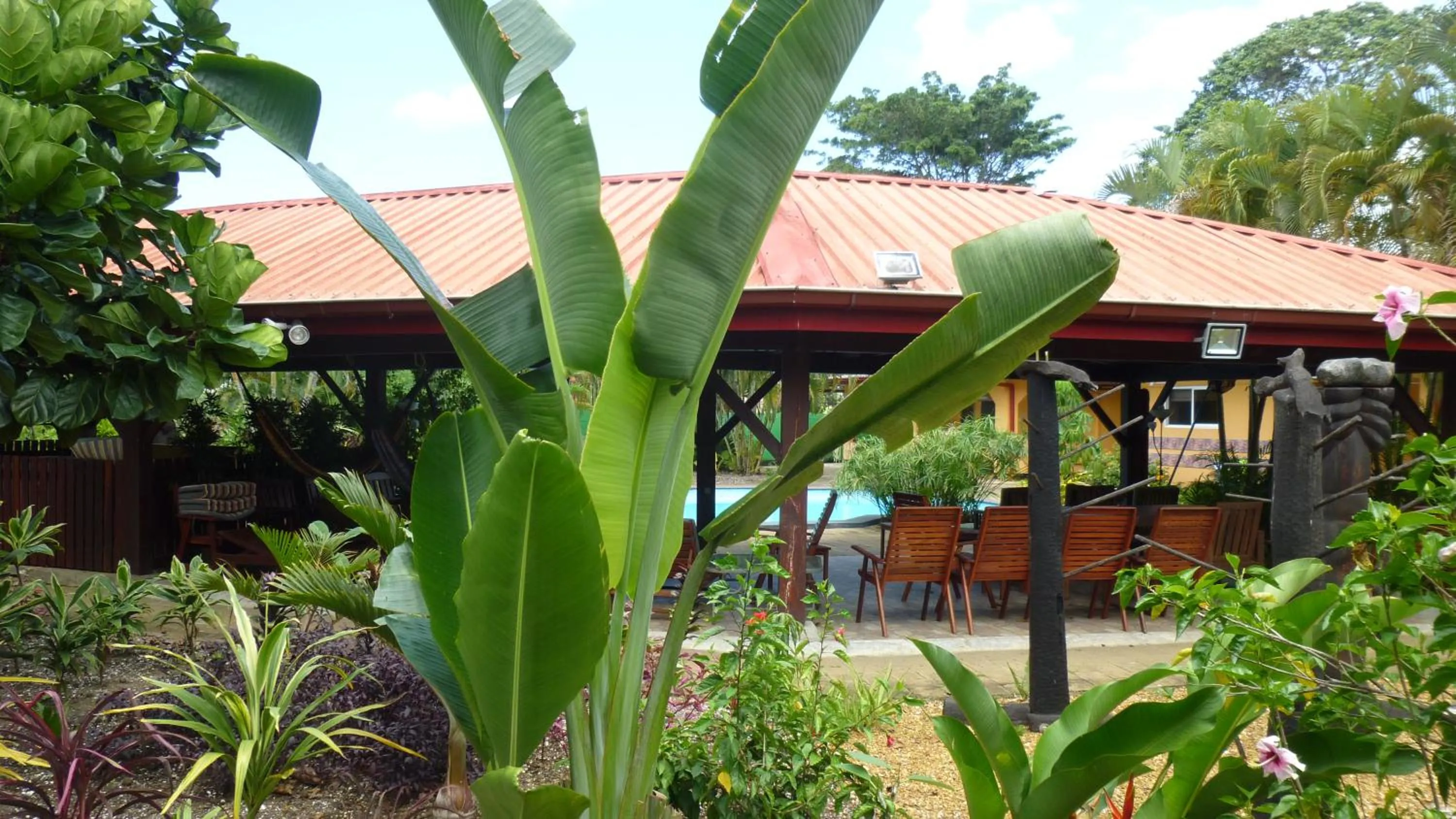 Garden in Kekemba Apartments Paramaribo