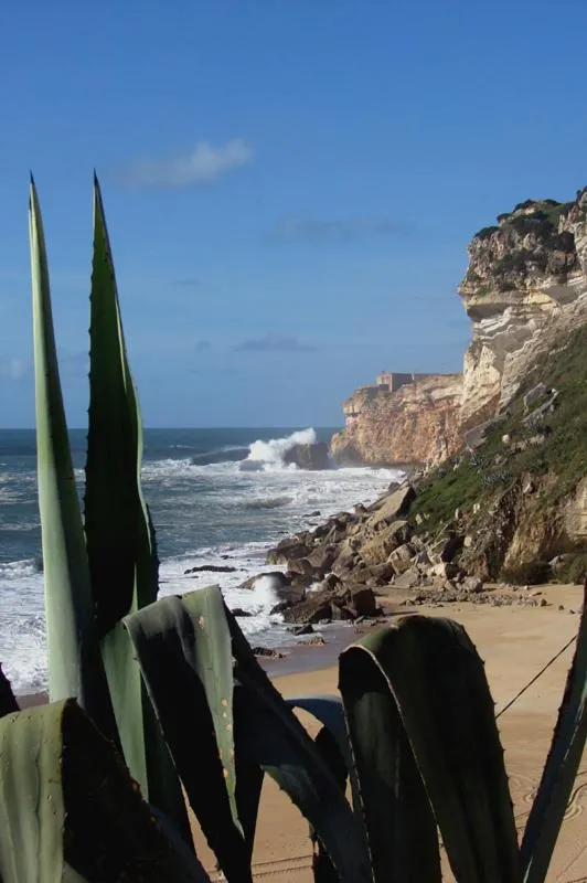 Breakfast in Quinta Camargue