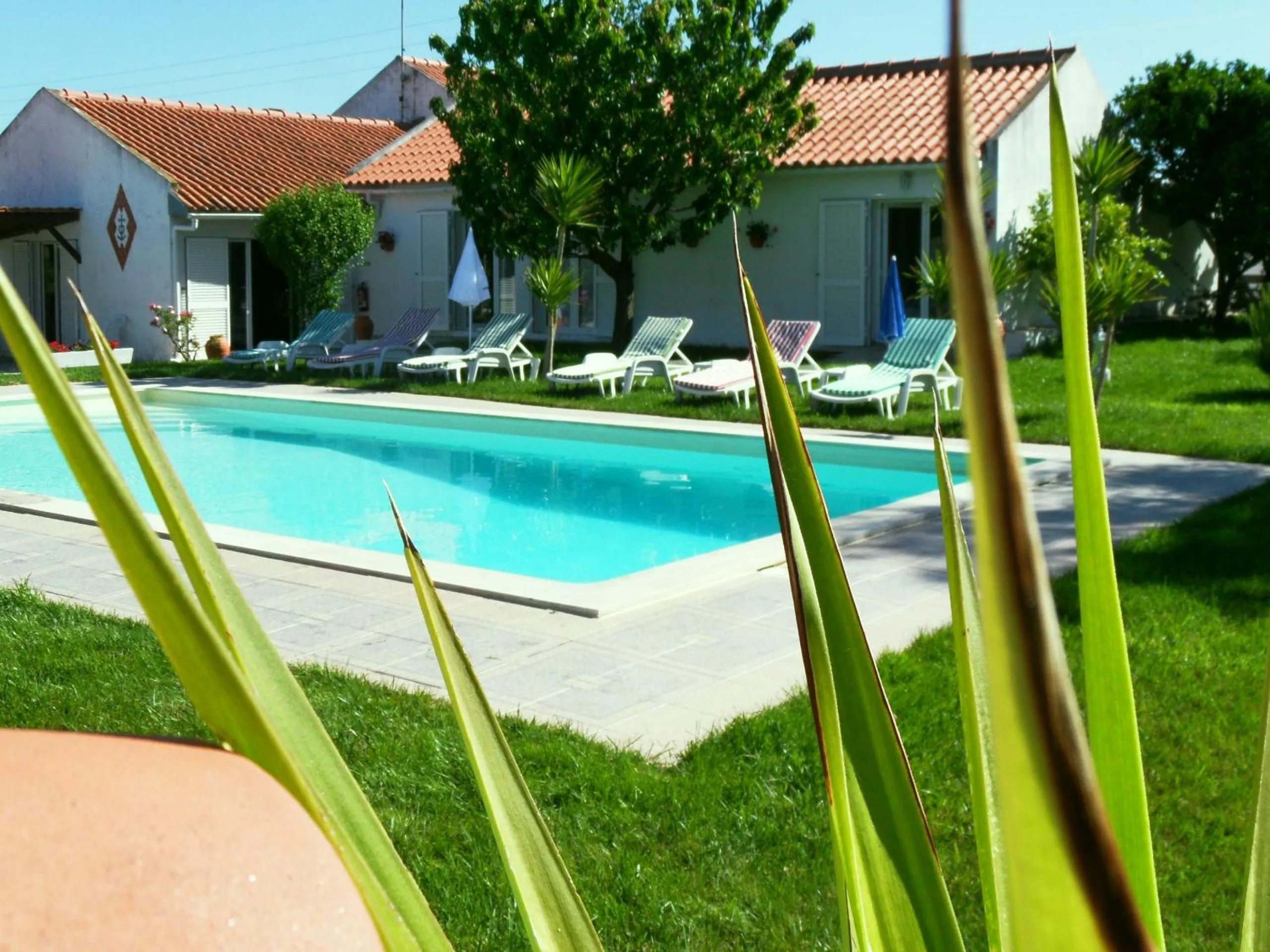 Pool view in Quinta Camargue