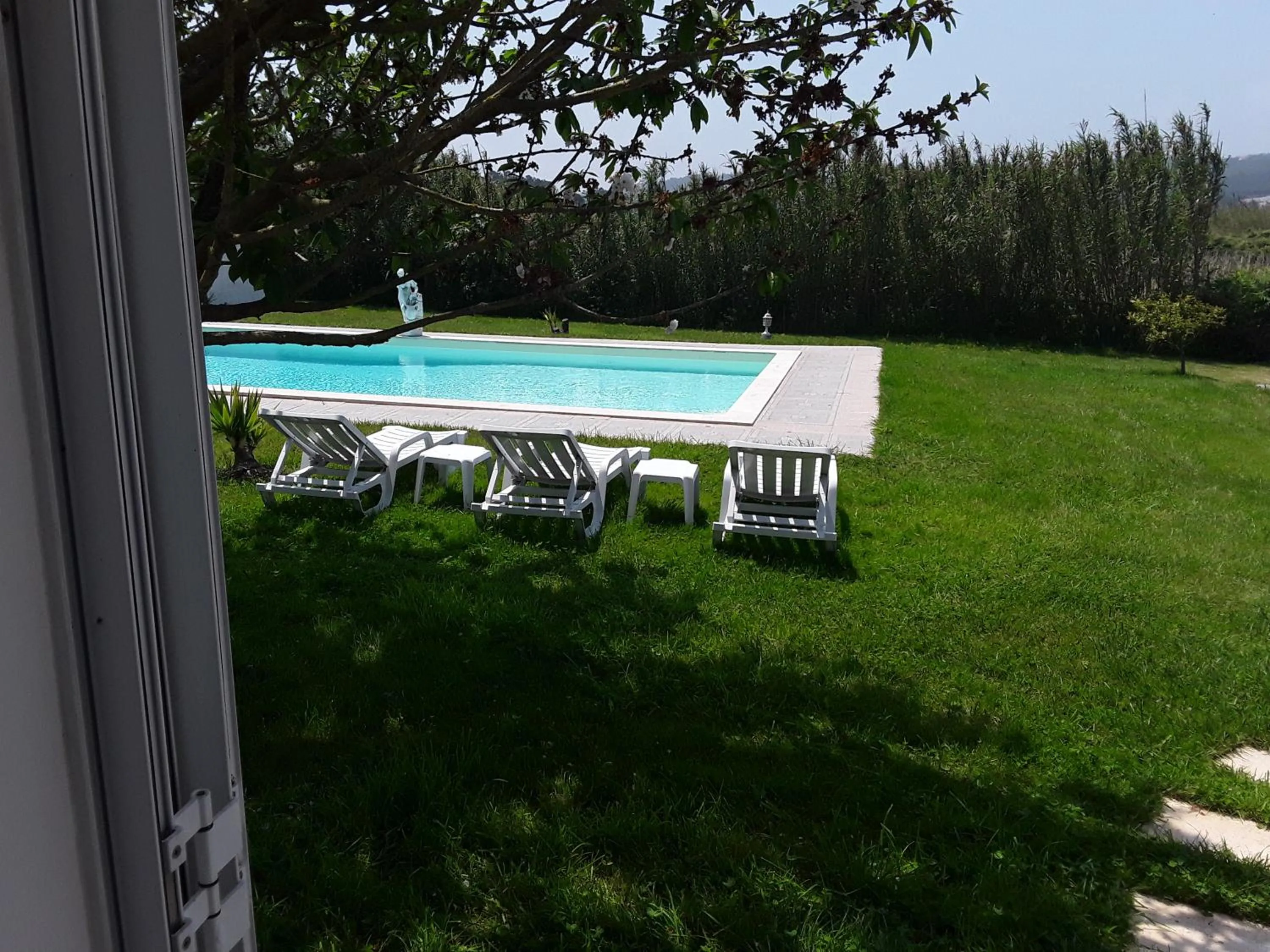 Pool view in Quinta Camargue