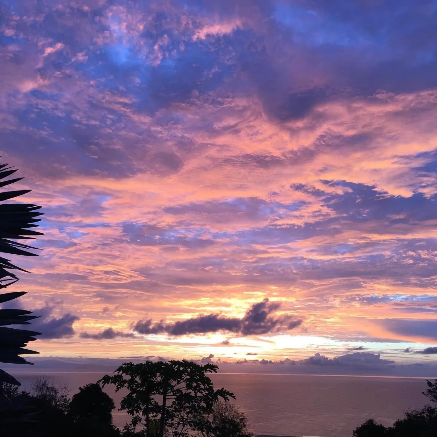 Casitas Sollevante Boutique Hotel