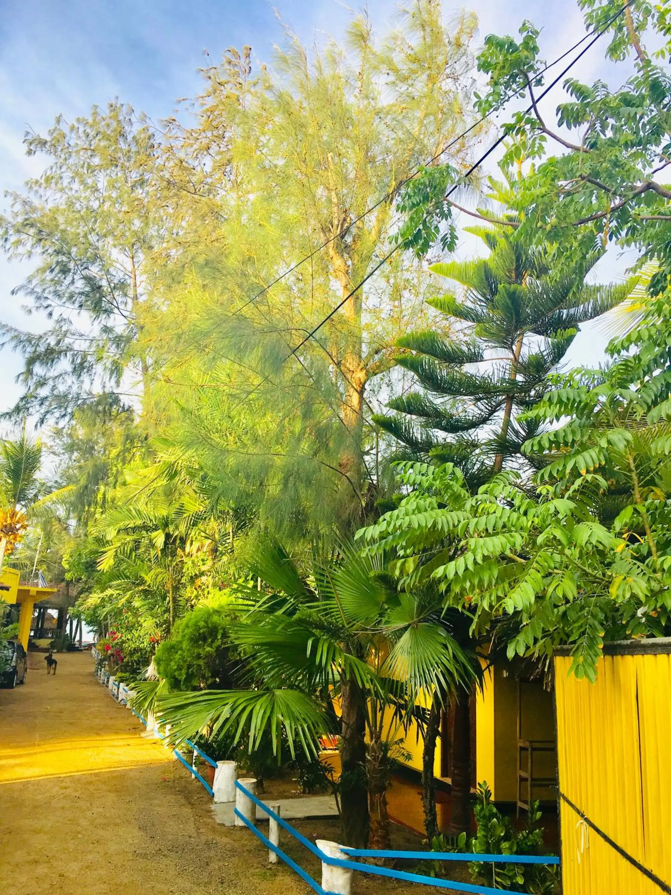Deluxe Double or Twin Room in Shashini Beach Resort Deluxe Double or Twin Room in Shashini Beach Resort