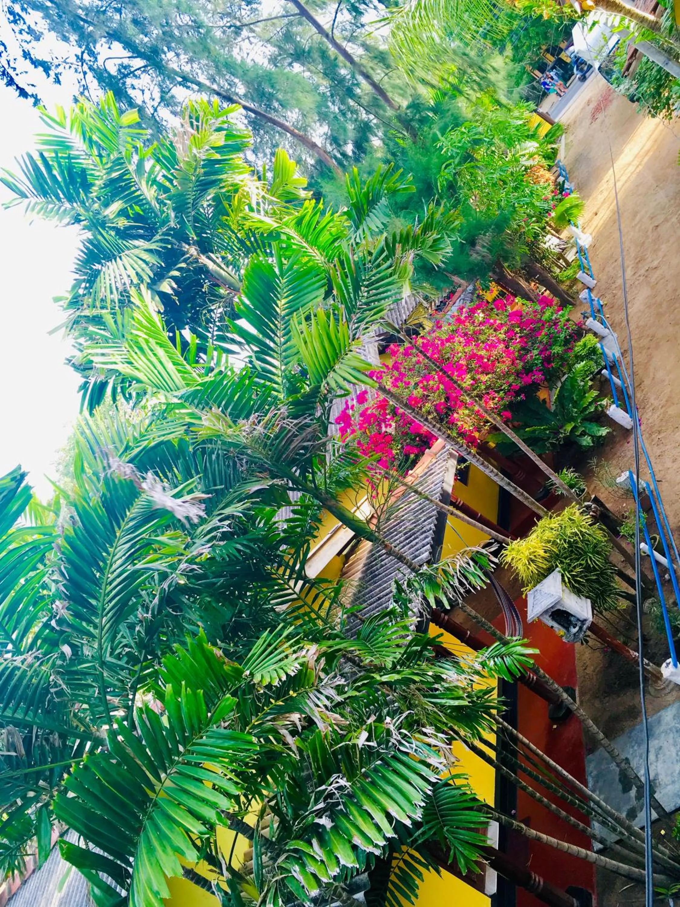 Shashini Beach Resort