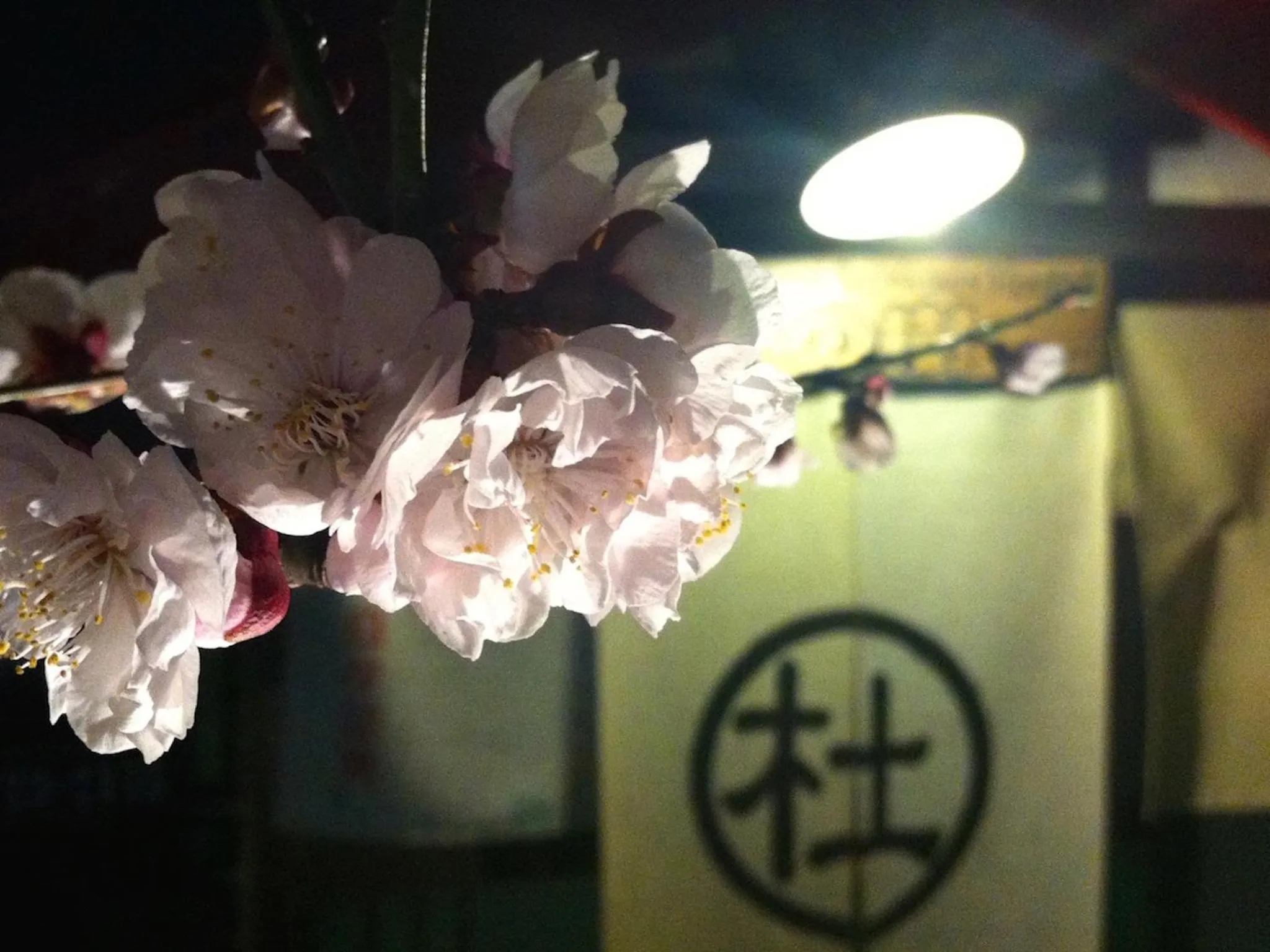 Seasons in The Otaornai Backpacker's Hostel Morinoki