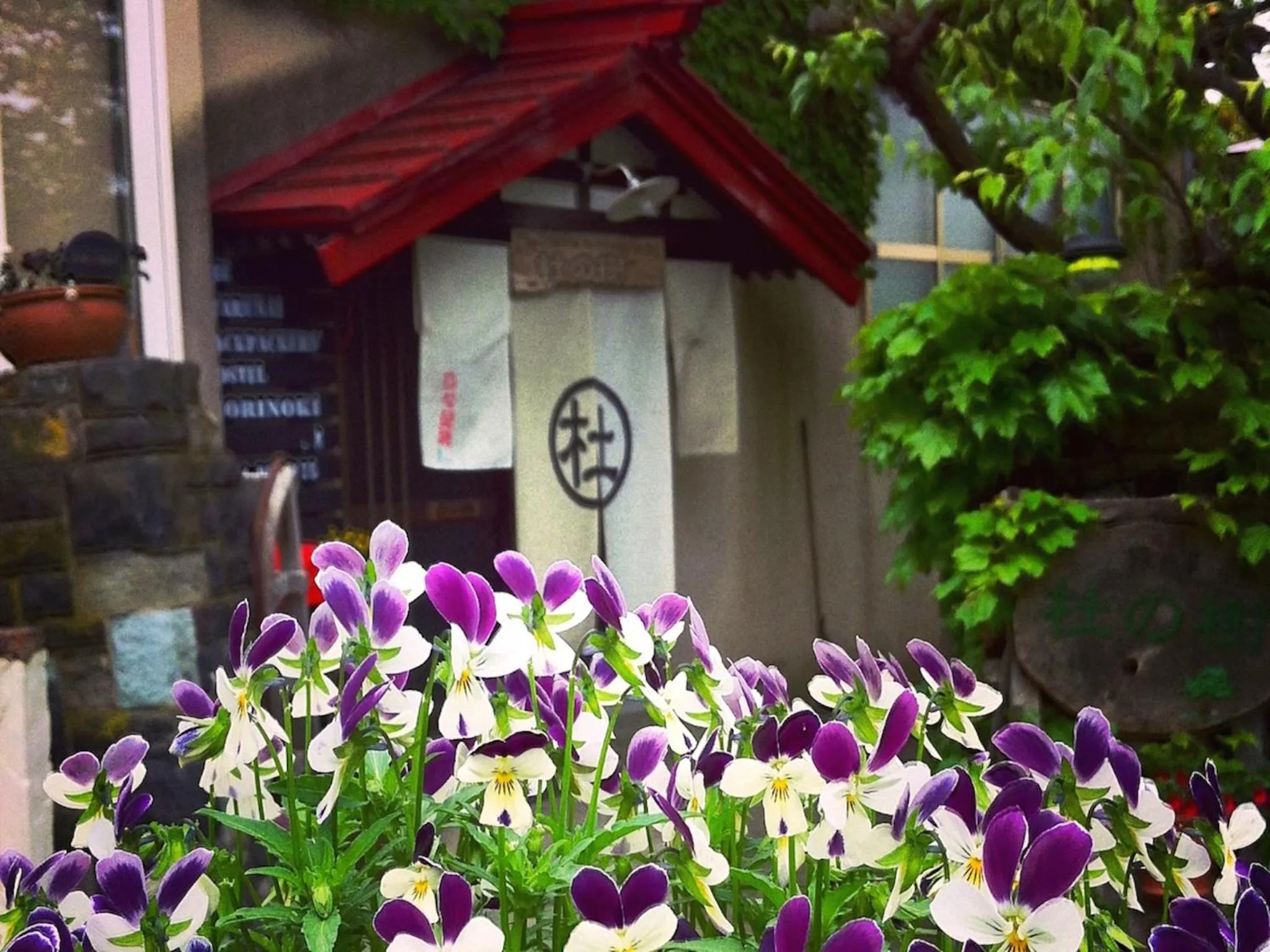 On site in The Otaornai Backpacker's Hostel Morinoki