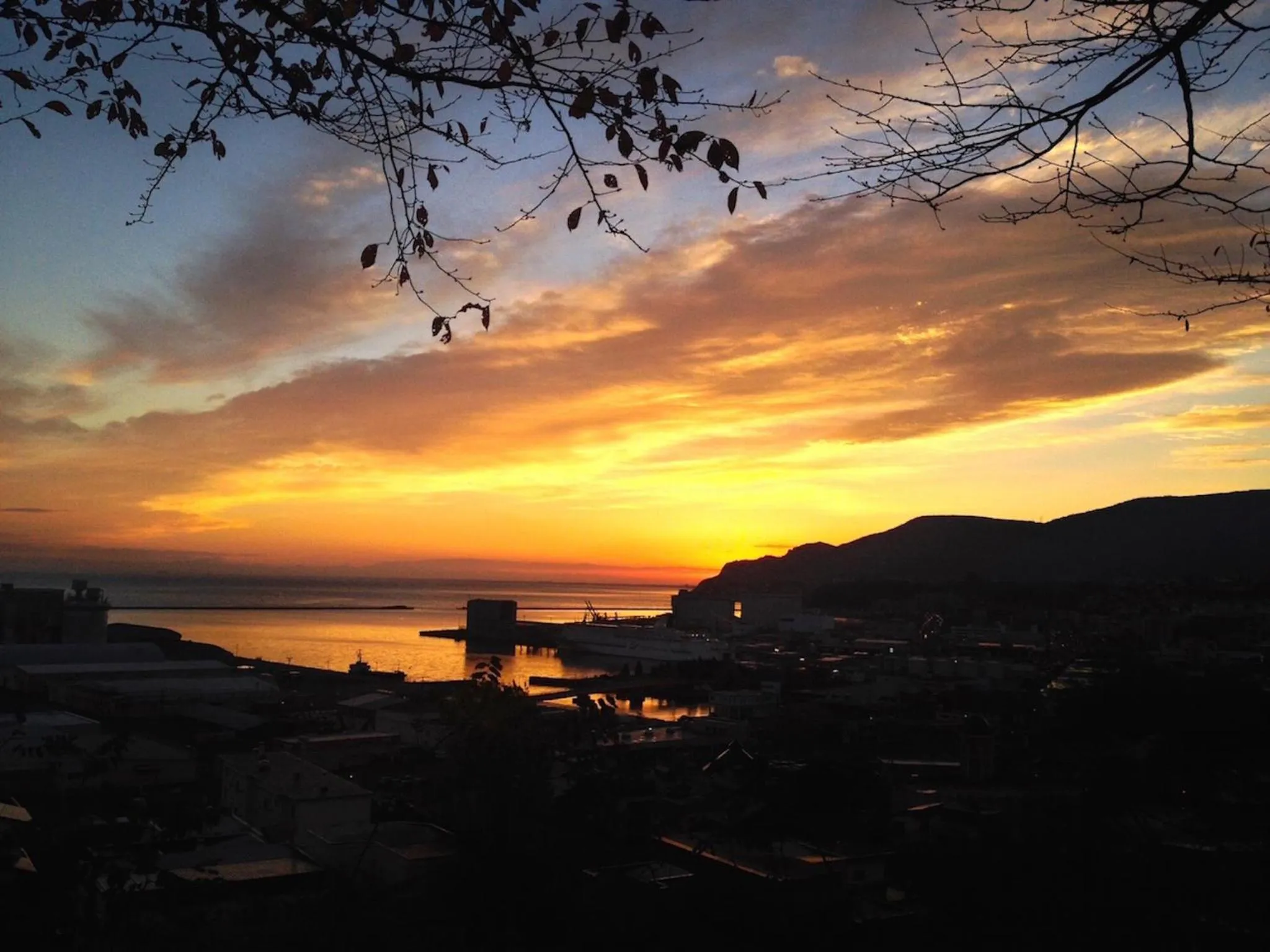 Natural landscape in The Otaornai Backpacker's Hostel Morinoki