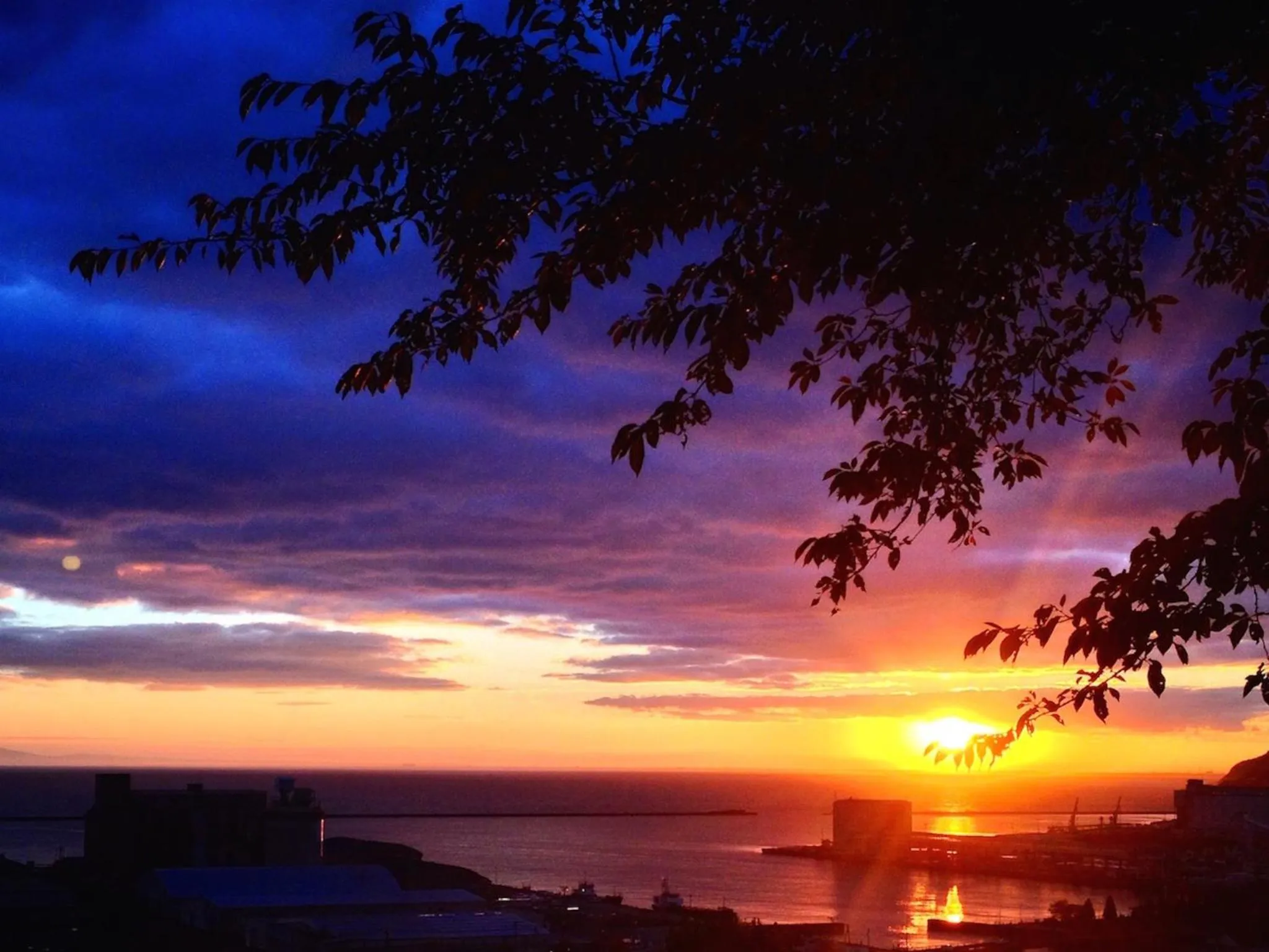 Natural landscape in The Otaornai Backpacker's Hostel Morinoki