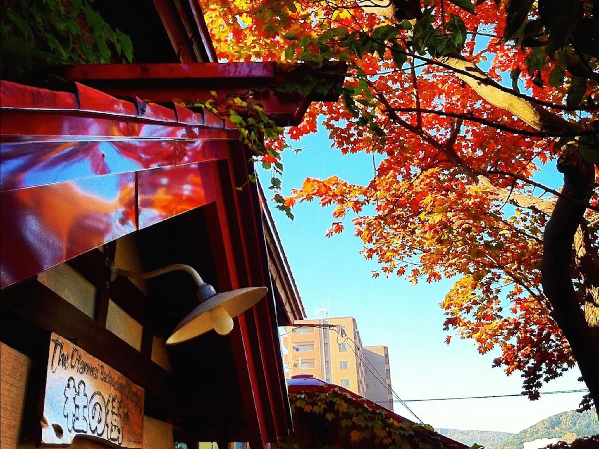 Autumn in The Otaornai Backpacker's Hostel Morinoki