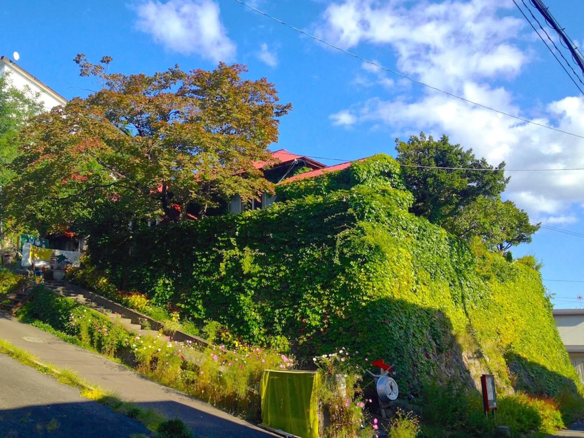 Facade/entrance in The Otaornai Backpacker's Hostel Morinoki