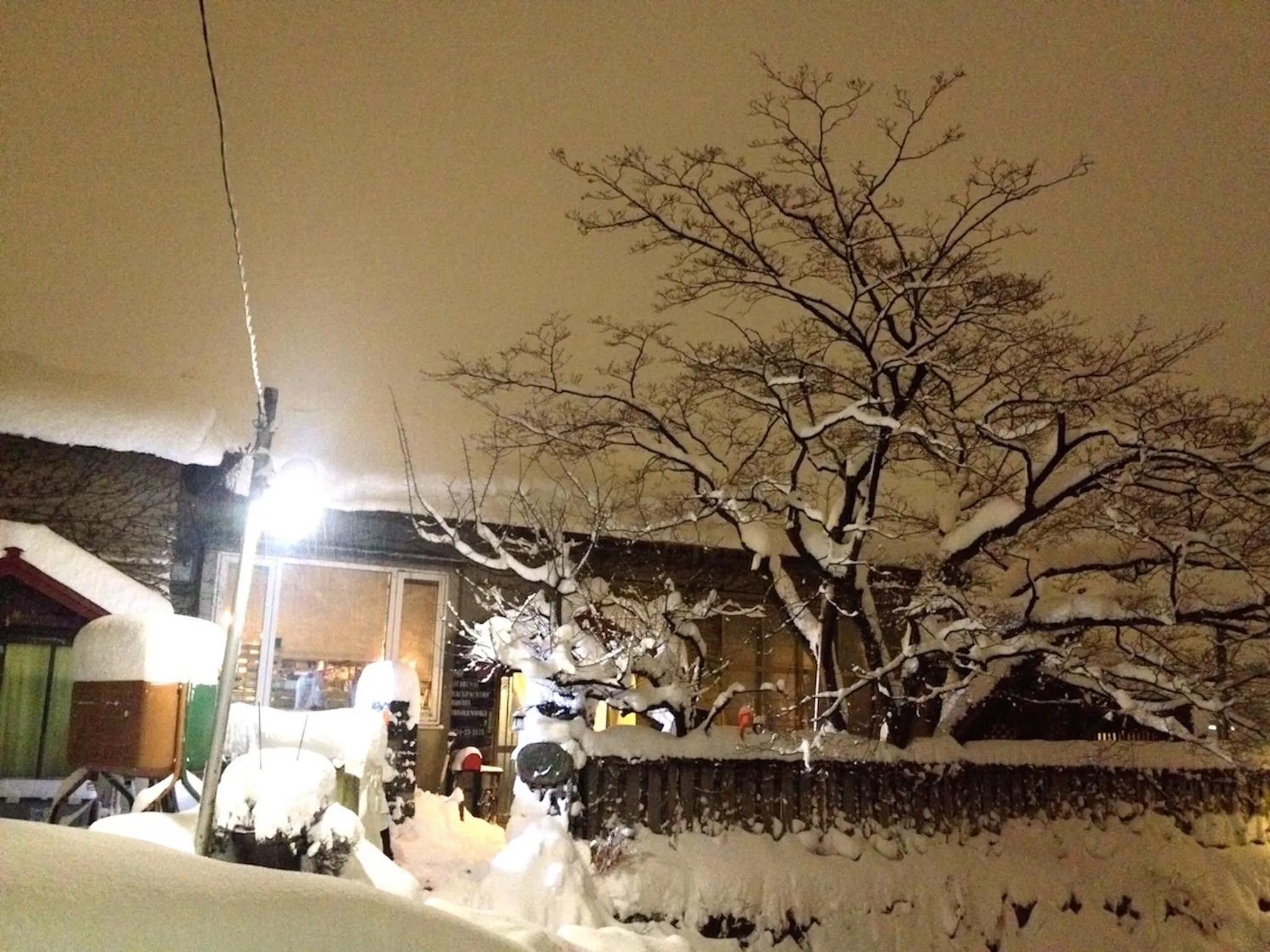 Property building in The Otaornai Backpacker's Hostel Morinoki