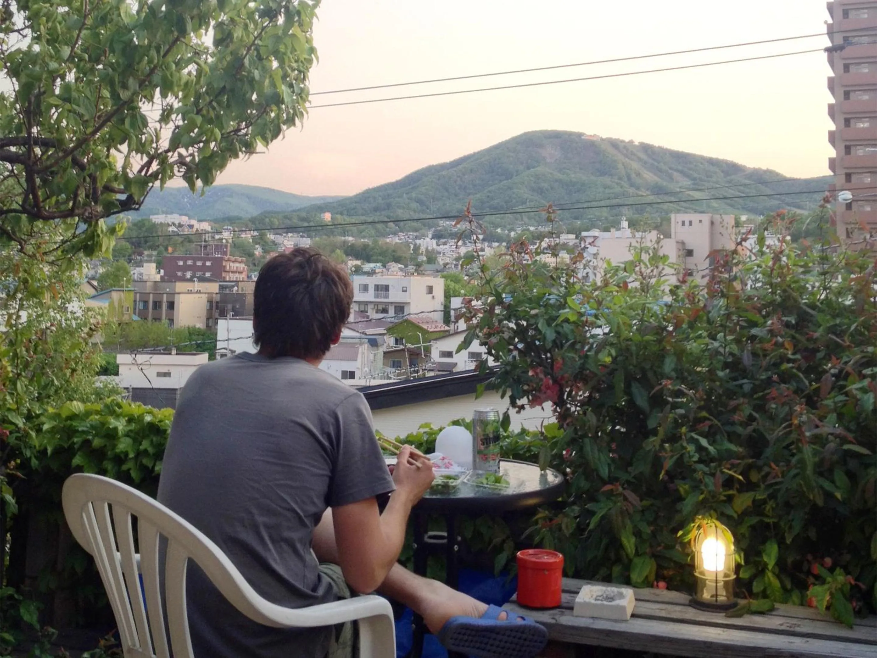 View (from property/room) in The Otaornai Backpacker's Hostel Morinoki