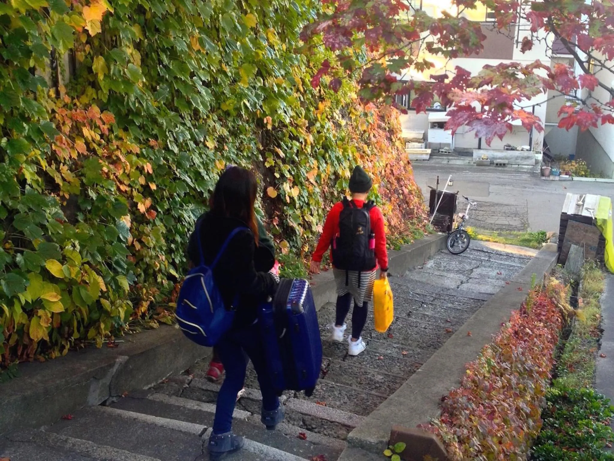 Guests in The Otaornai Backpacker's Hostel Morinoki