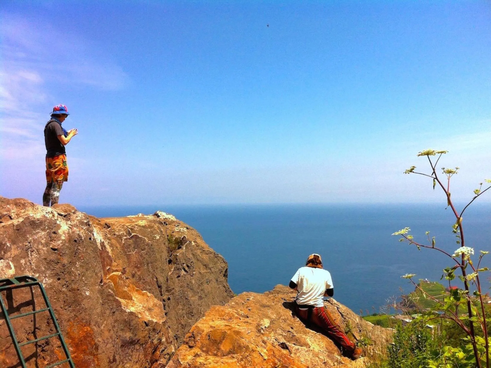 Natural landscape in The Otaornai Backpacker's Hostel Morinoki