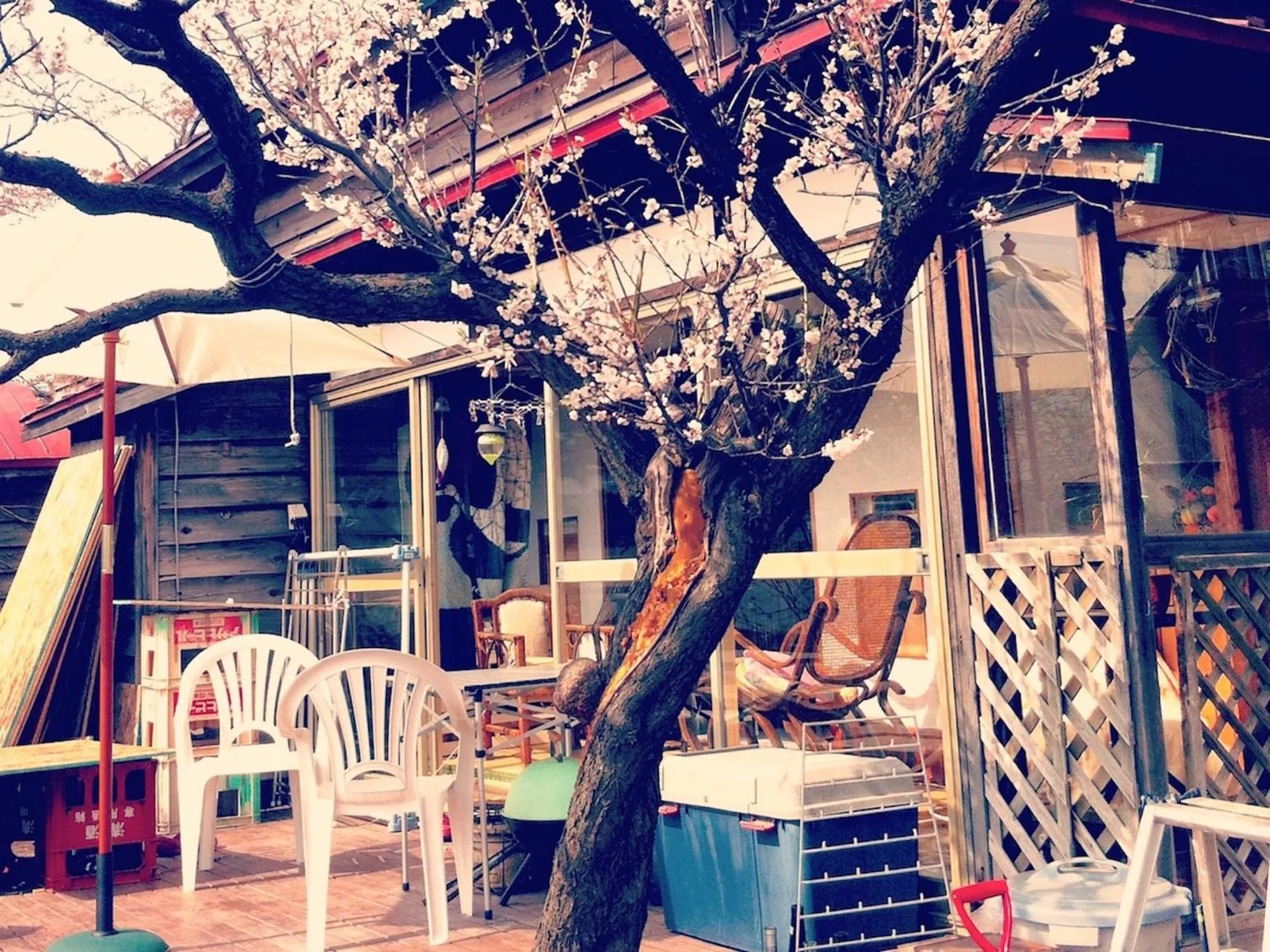 Garden in The Otaornai Backpacker's Hostel Morinoki