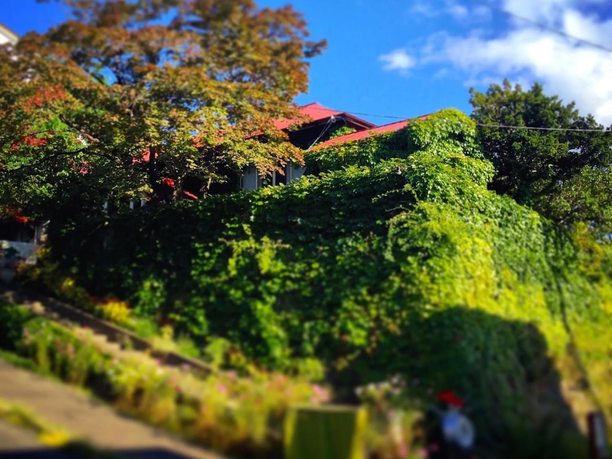 Facade/entrance in The Otaornai Backpacker's Hostel Morinoki