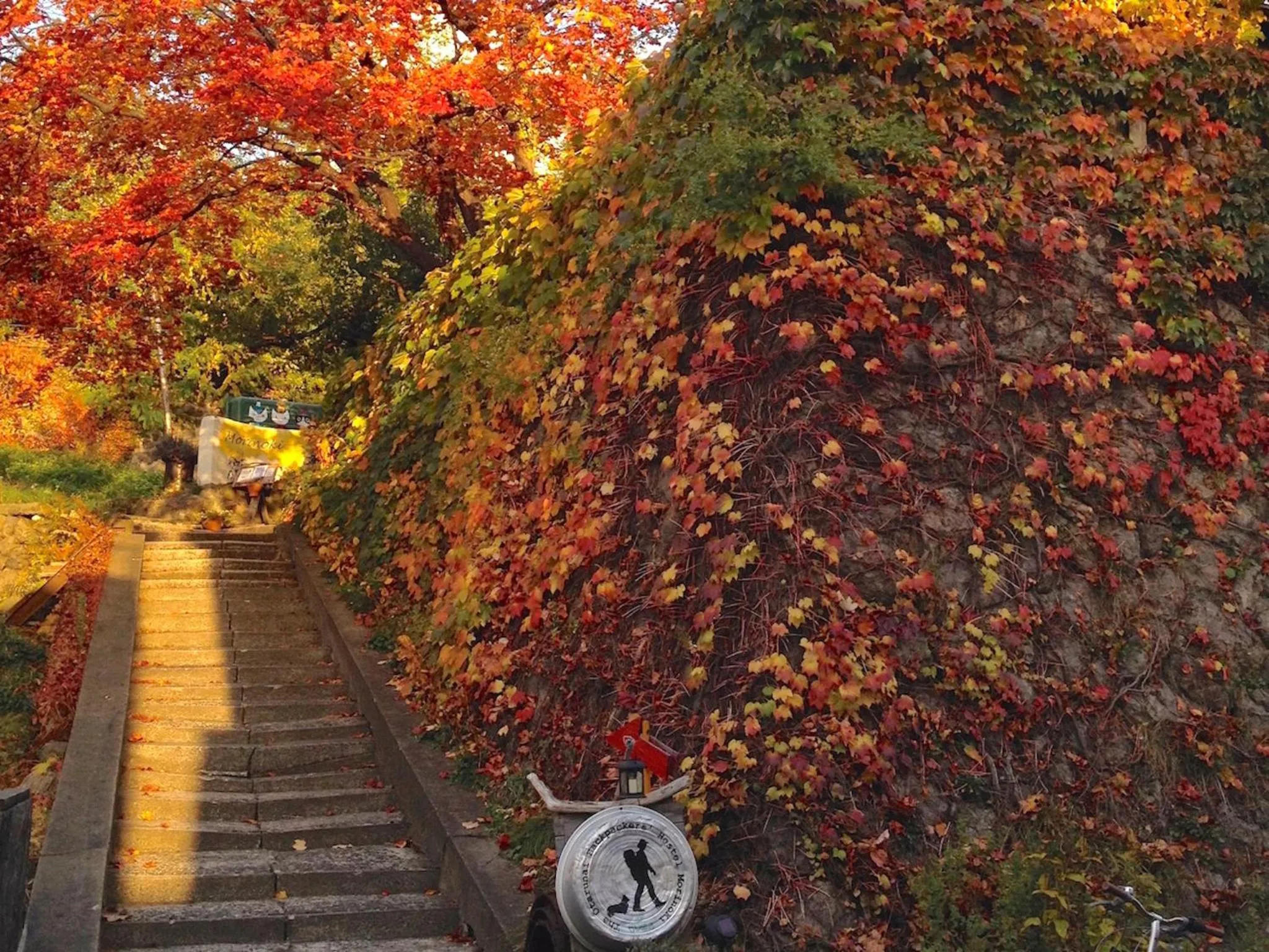 Autumn in The Otaornai Backpacker's Hostel Morinoki