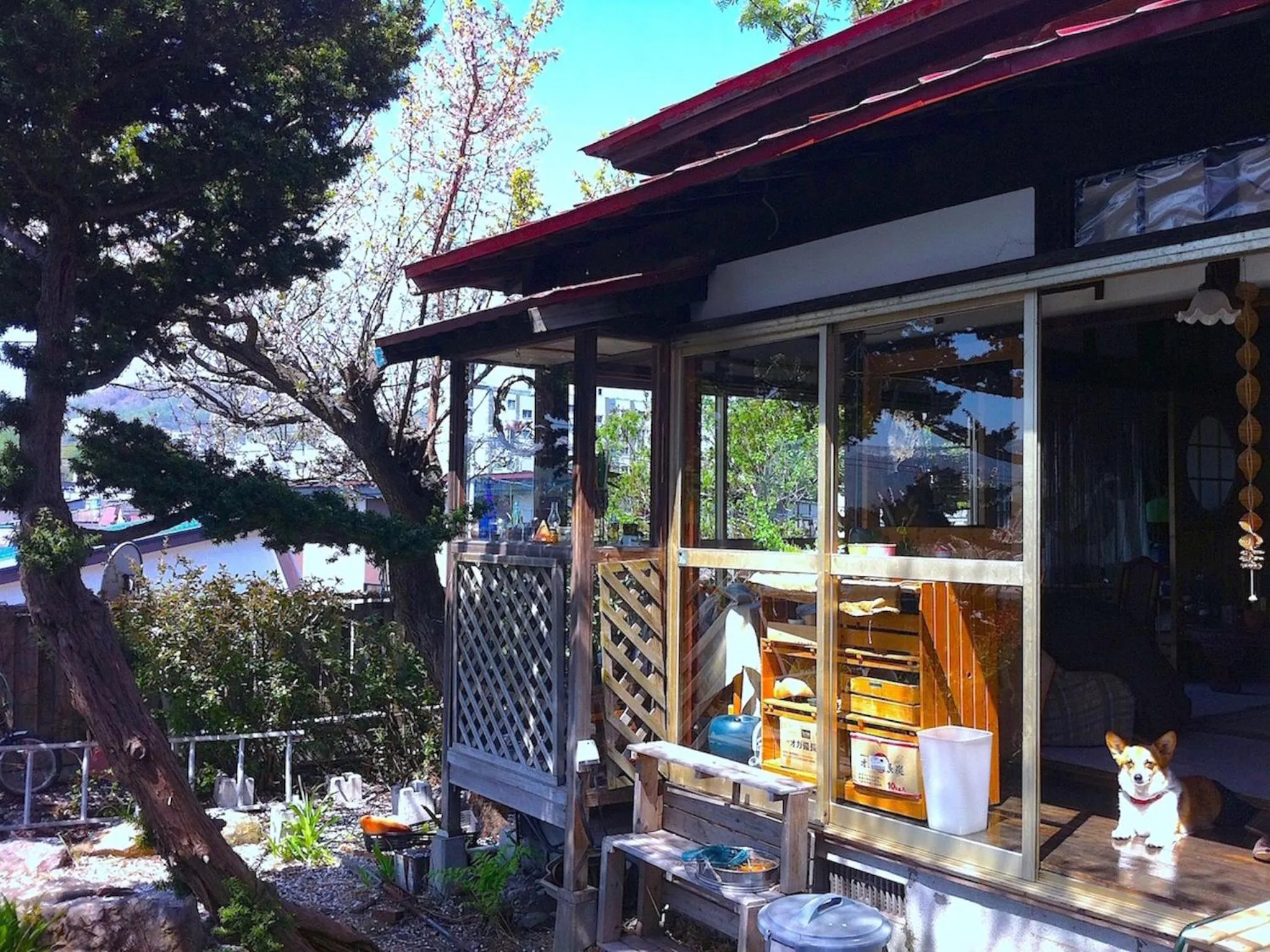 Garden in The Otaornai Backpacker's Hostel Morinoki