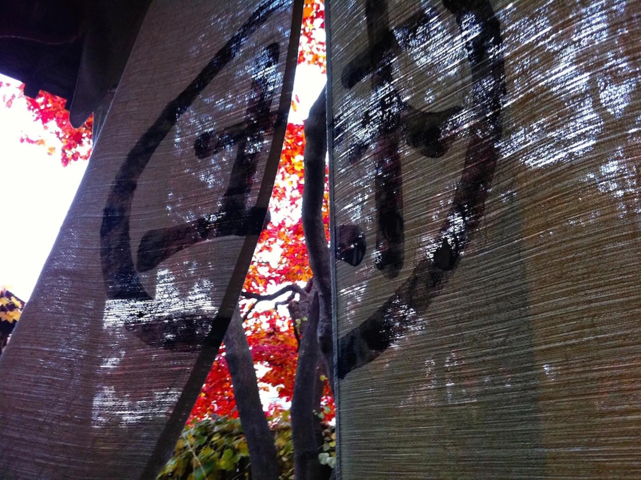 Winter in The Otaornai Backpacker's Hostel Morinoki