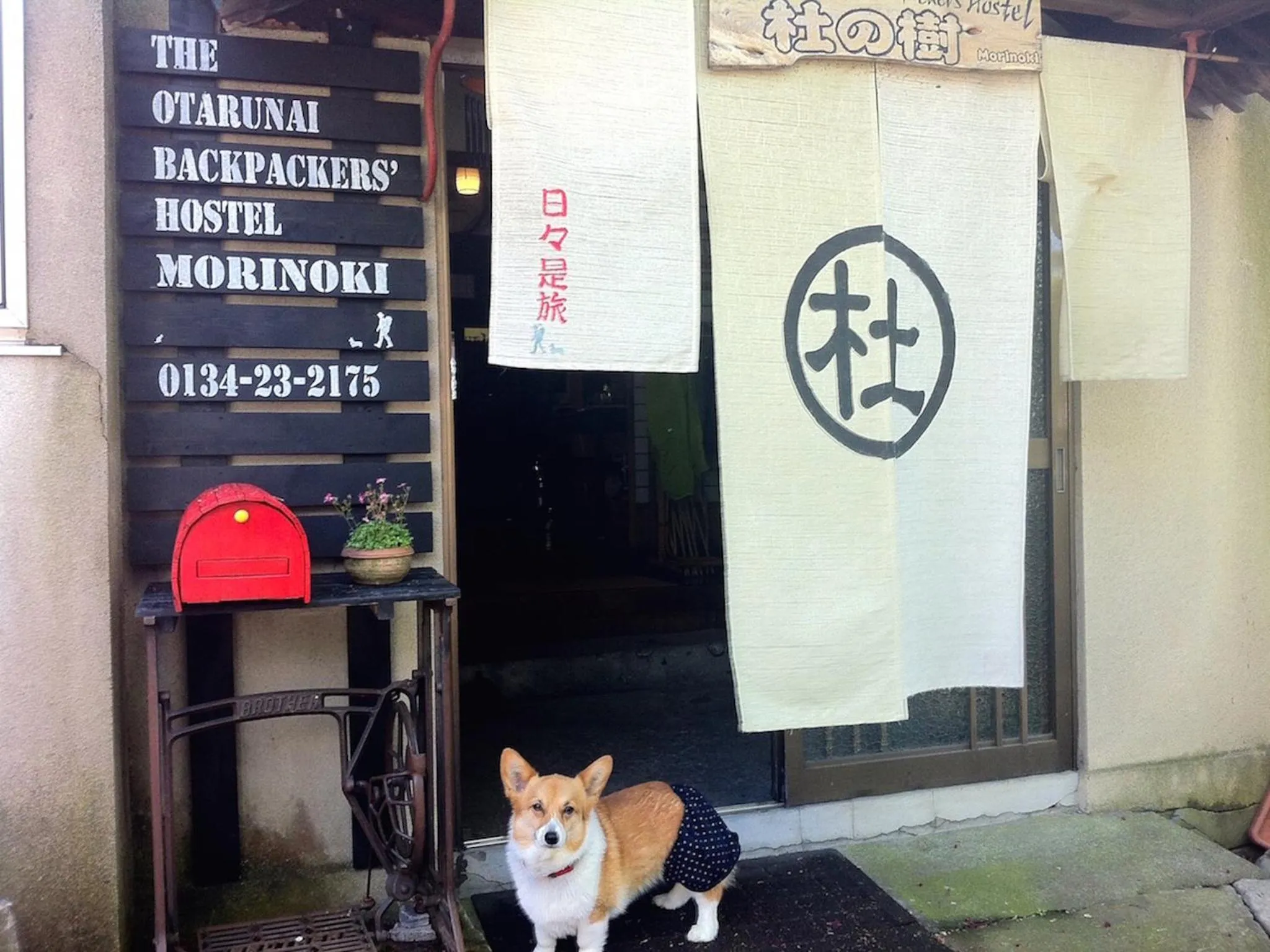 Facade/entrance in The Otaornai Backpacker's Hostel Morinoki
