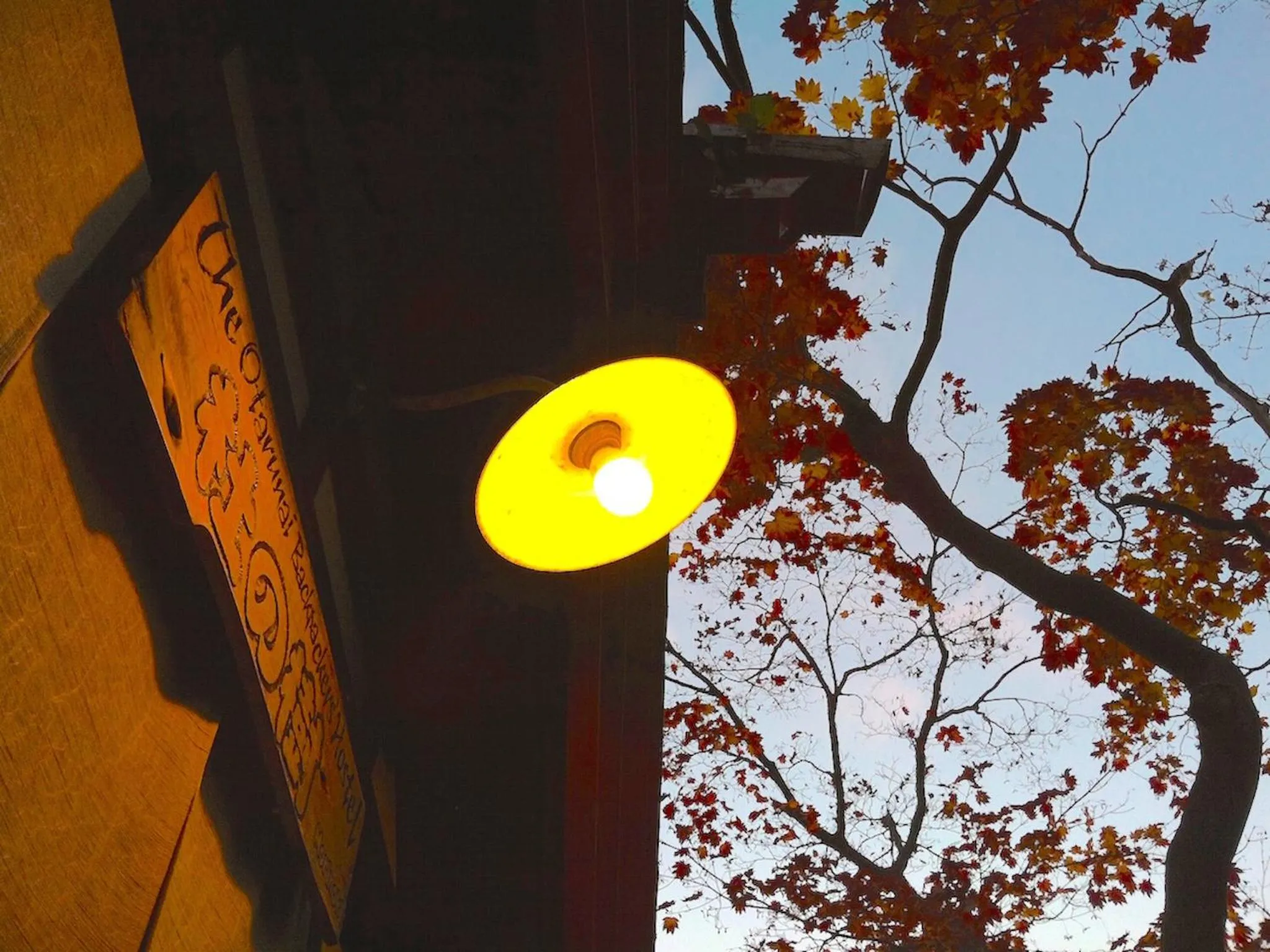 Autumn in The Otaornai Backpacker's Hostel Morinoki