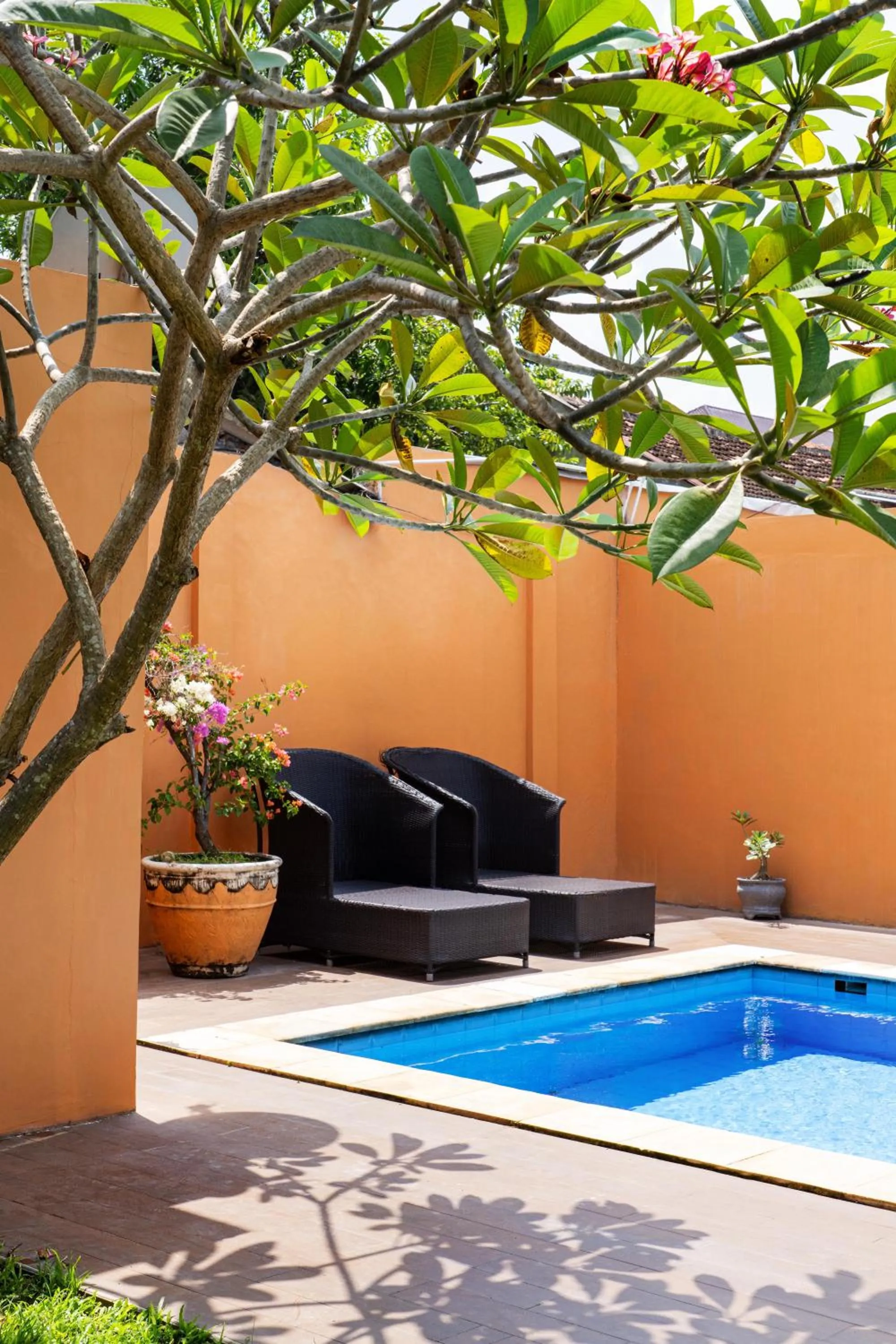 Garden in Villa Pondok Terra