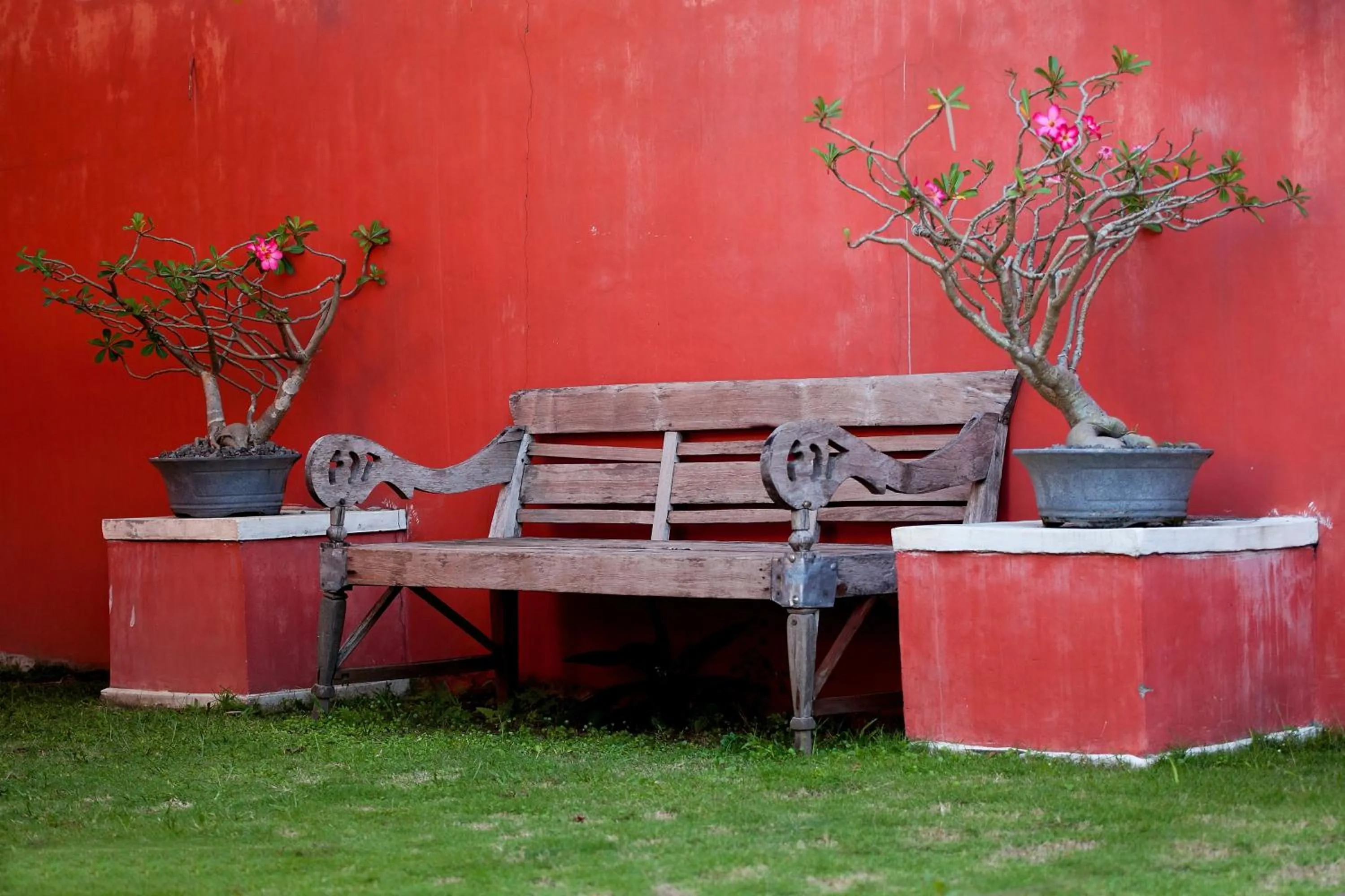 Patio in Villa Pondok Terra