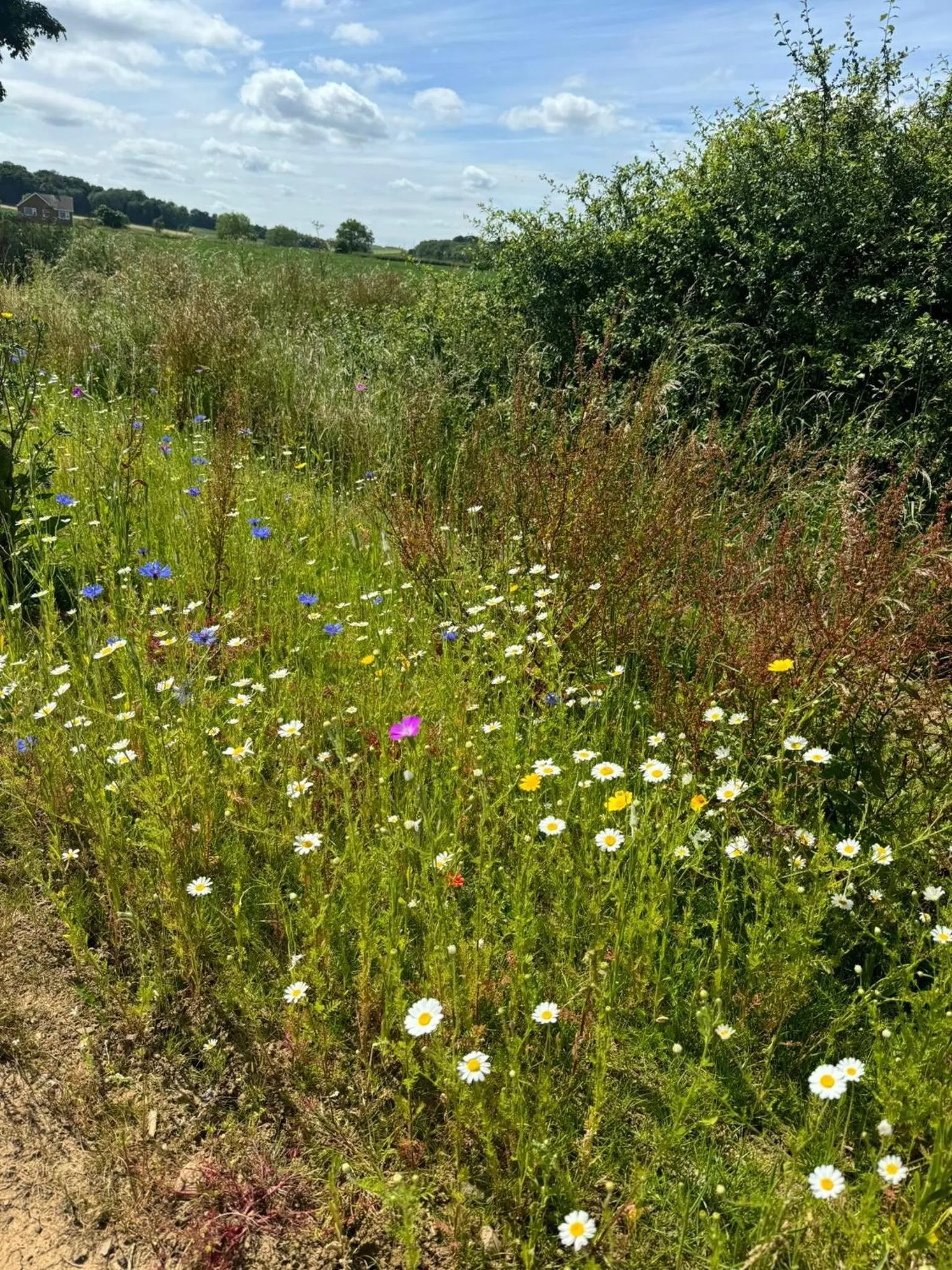 Natural landscape in Brackenborough Hotel, BW Signature Collection