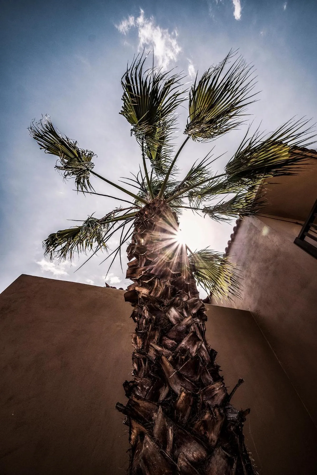 Area and facilities in Doryssa Boutique Hotel