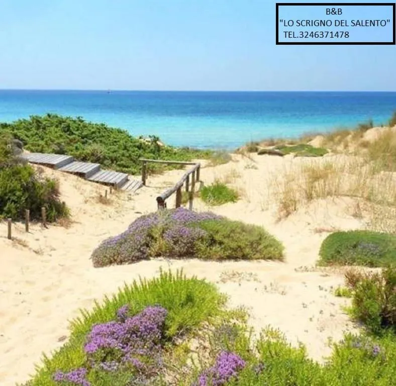 Natural landscape in B&B Lo Scrigno del Salento