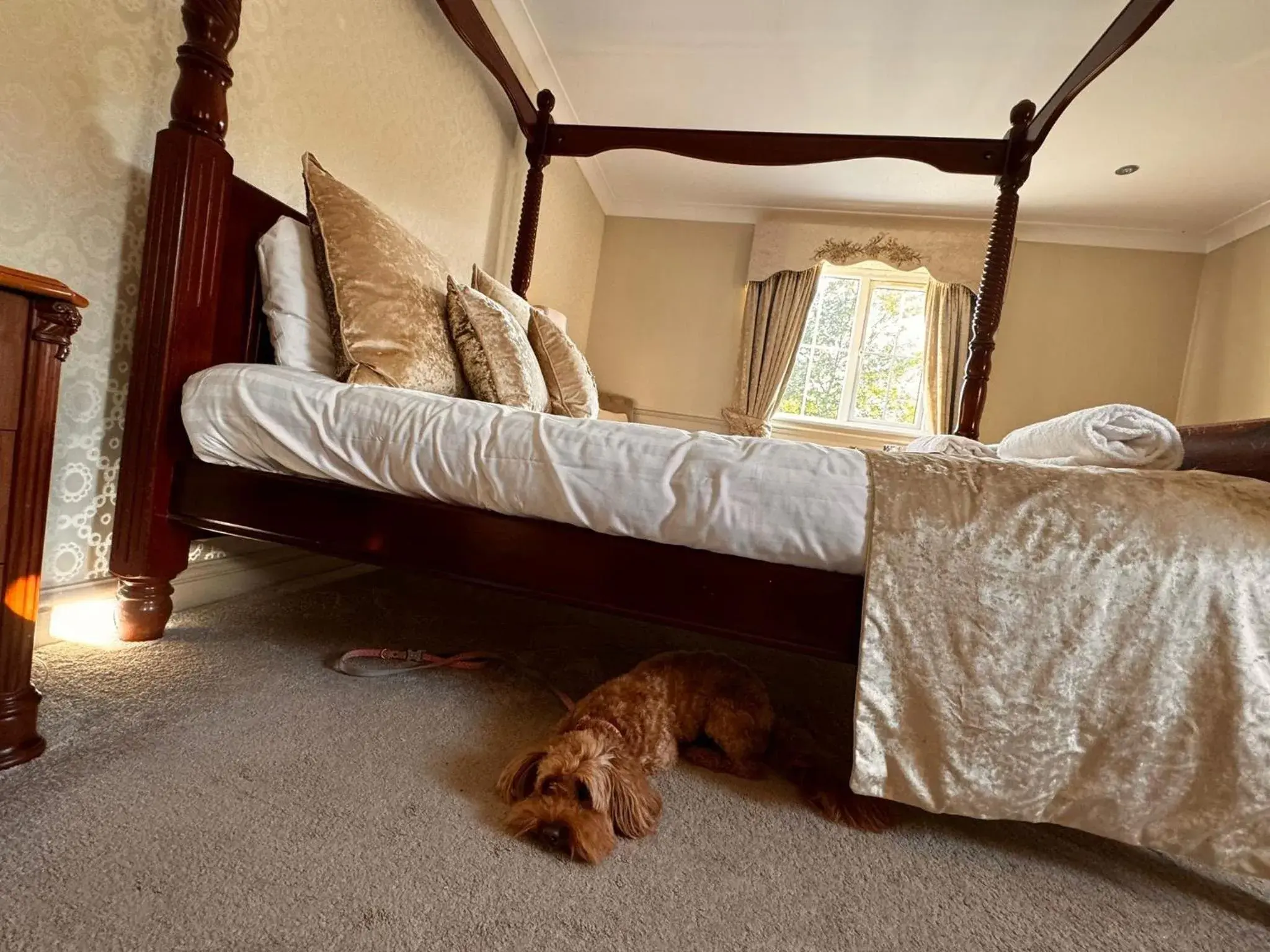 Bed in The Ashbourne Hotel, BW Signature Collection Bed in The Ashbourne Hotel, BW Signature Collection