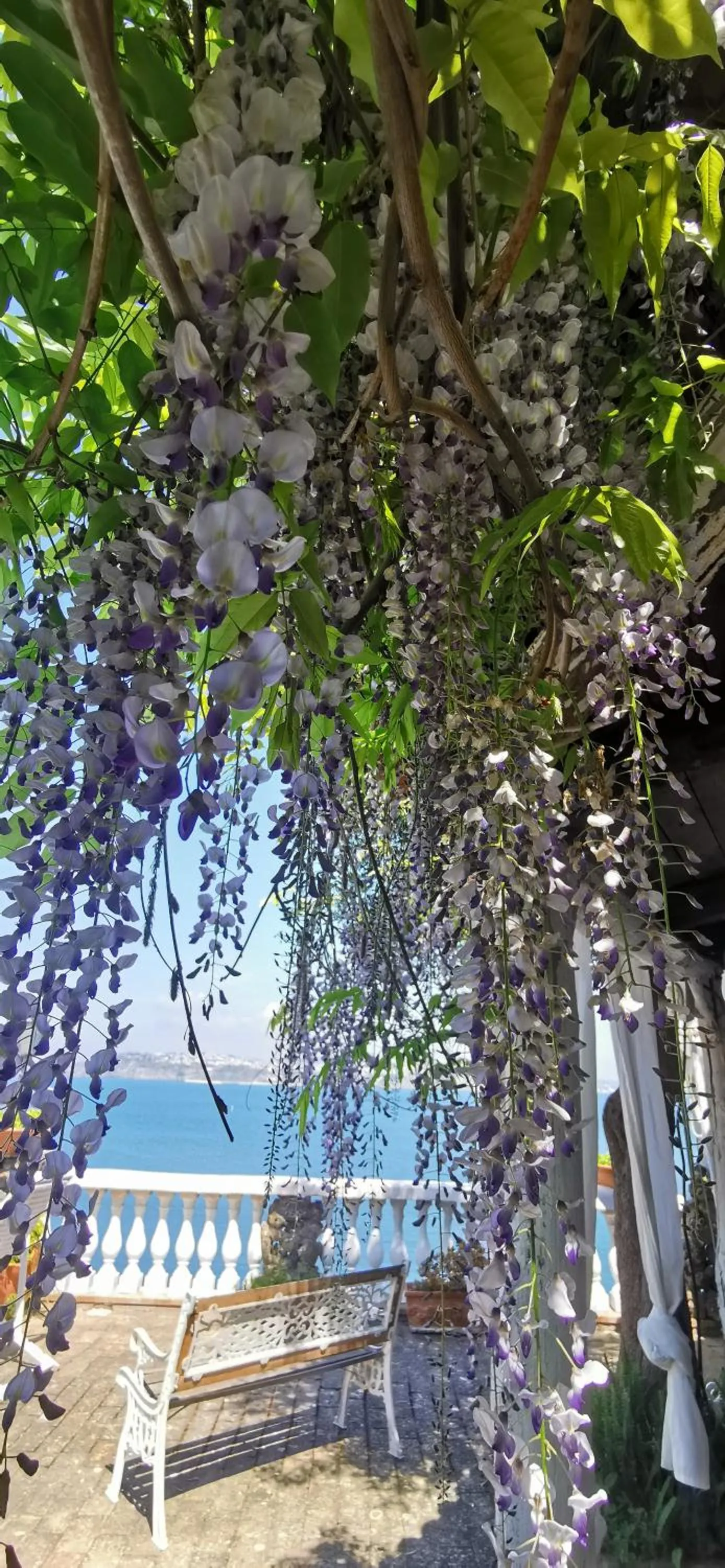 Natural landscape in Summer Paradise