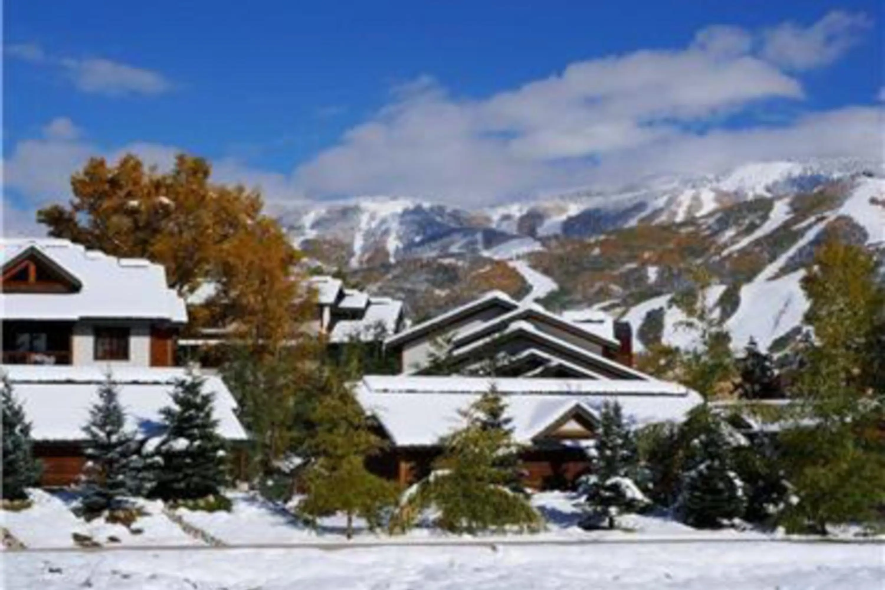 Pines at Orehouse 101 PH1