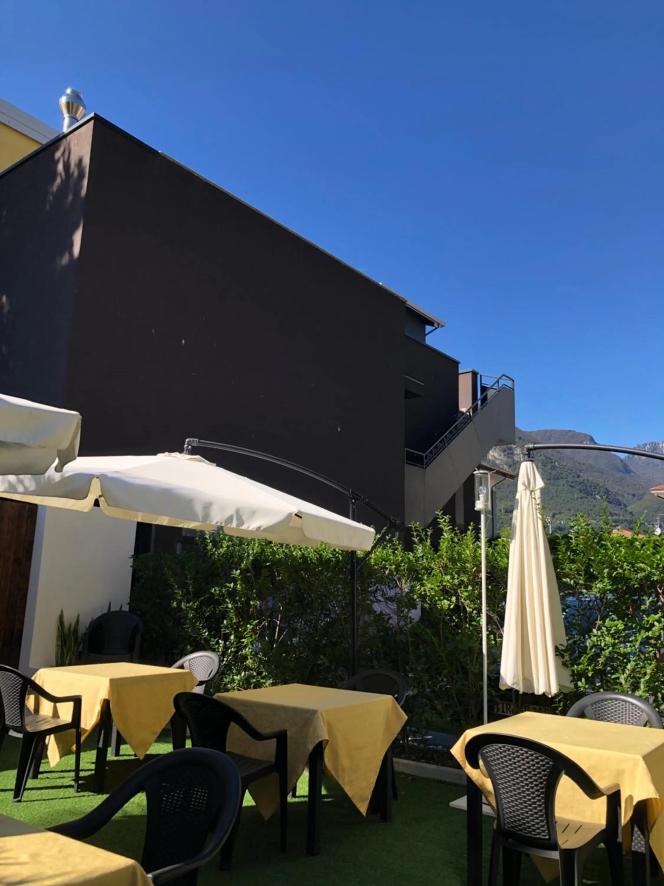 Garden in Villa Regina