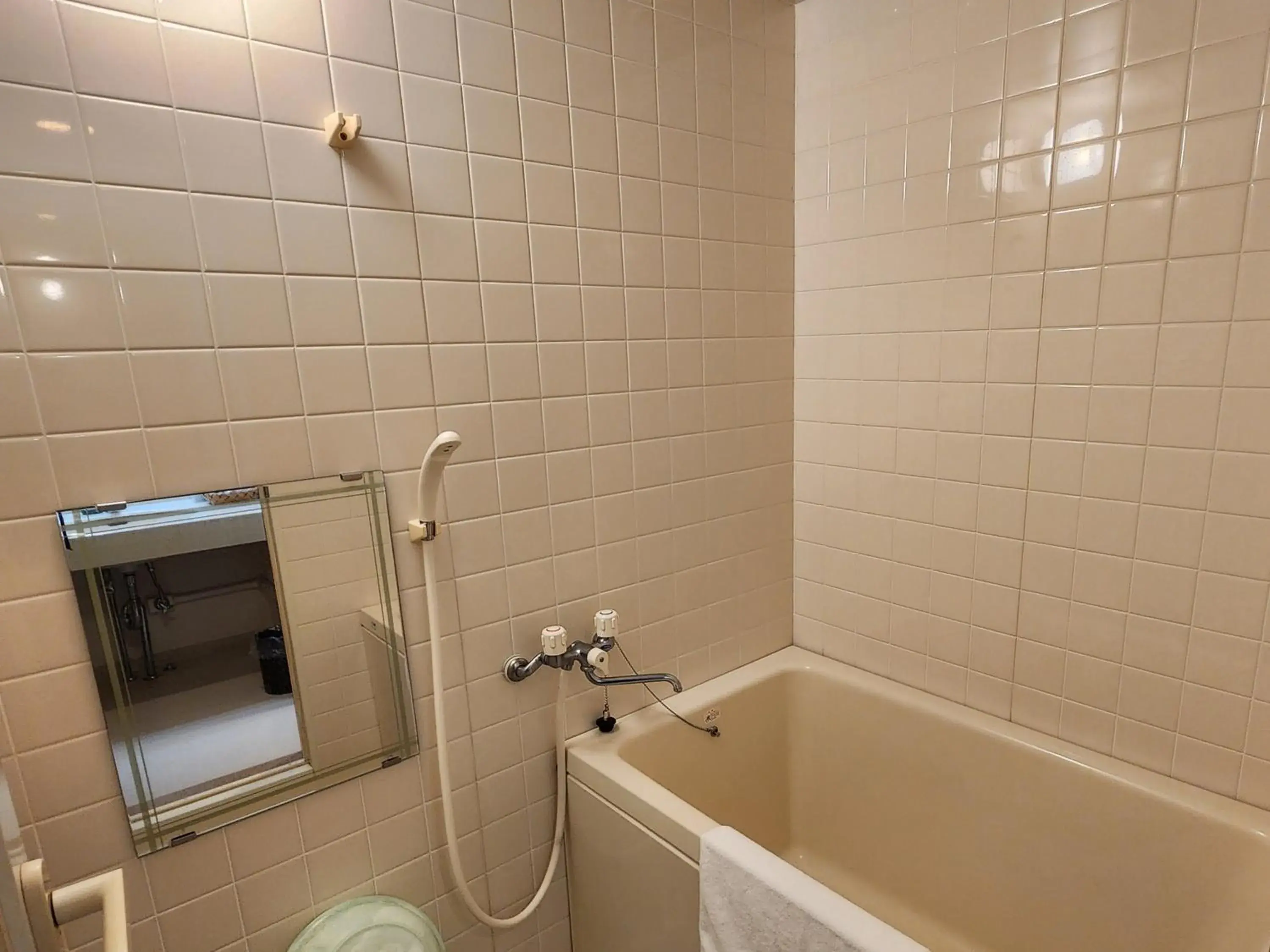 Bathroom in Hotel Cetus Royal Bathroom in Hotel Cetus Royal