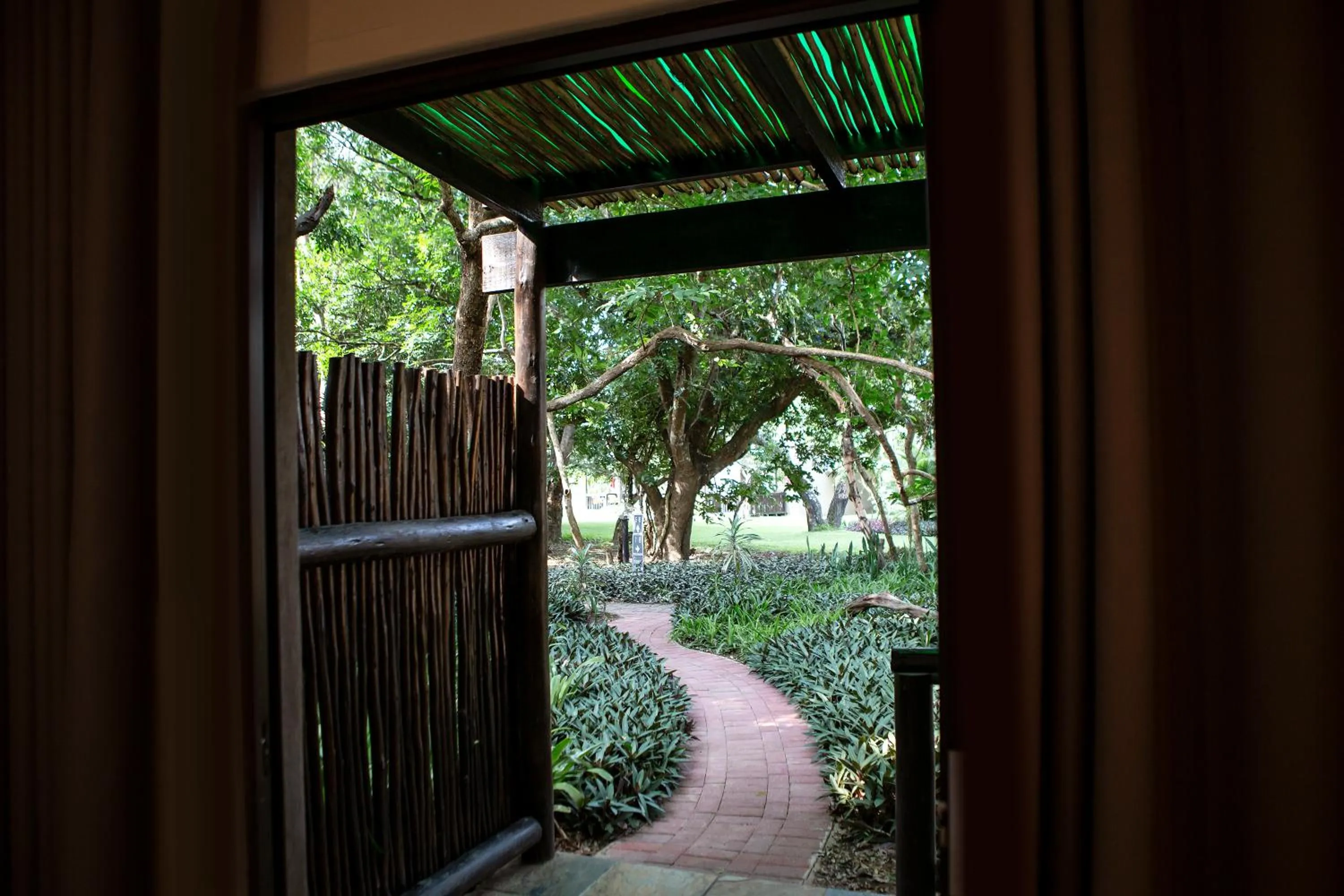 Day in Emdoneni Lodge with Zululand Cat Conservation Project