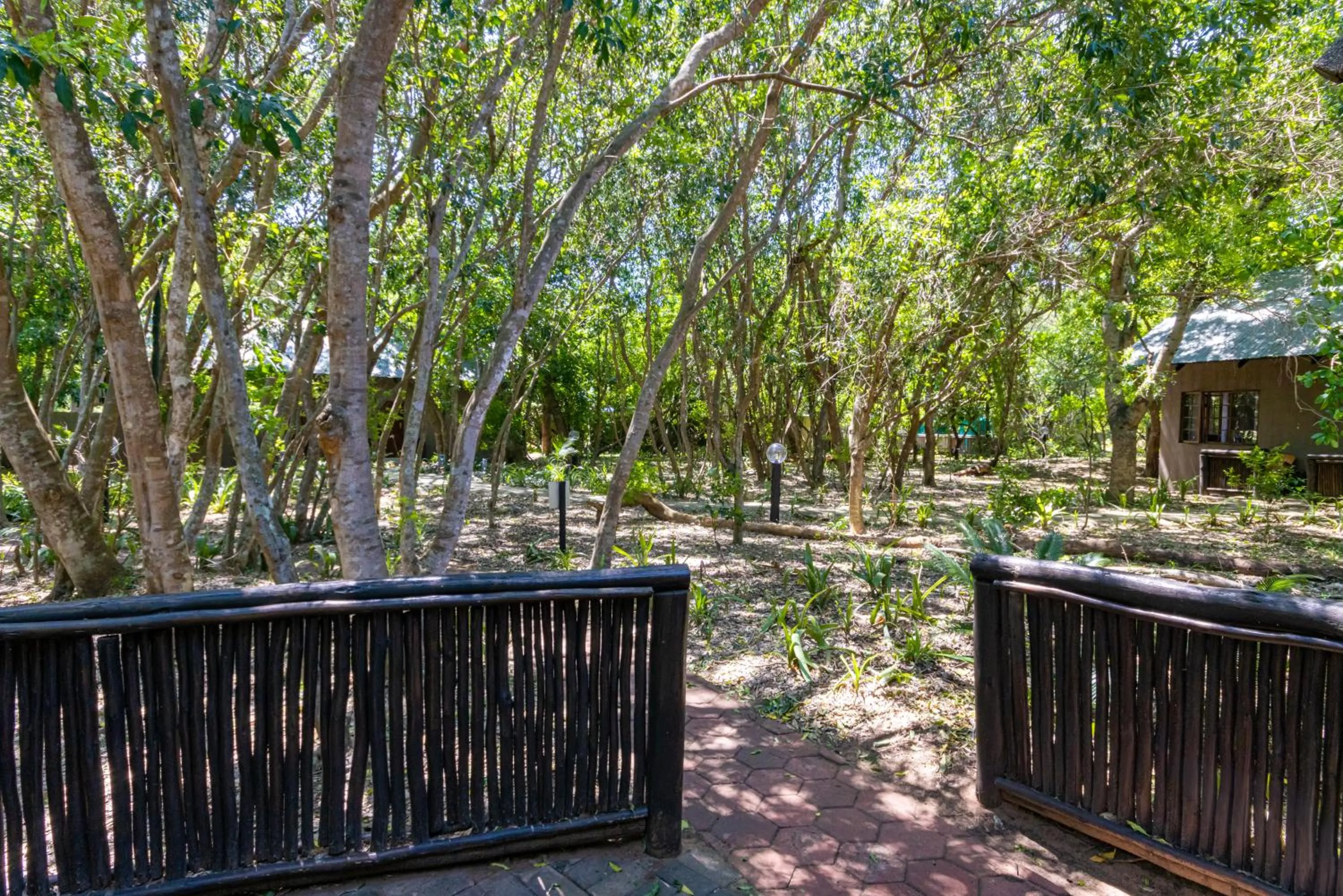 Patio in Emdoneni Lodge with Zululand Cat Conservation Project