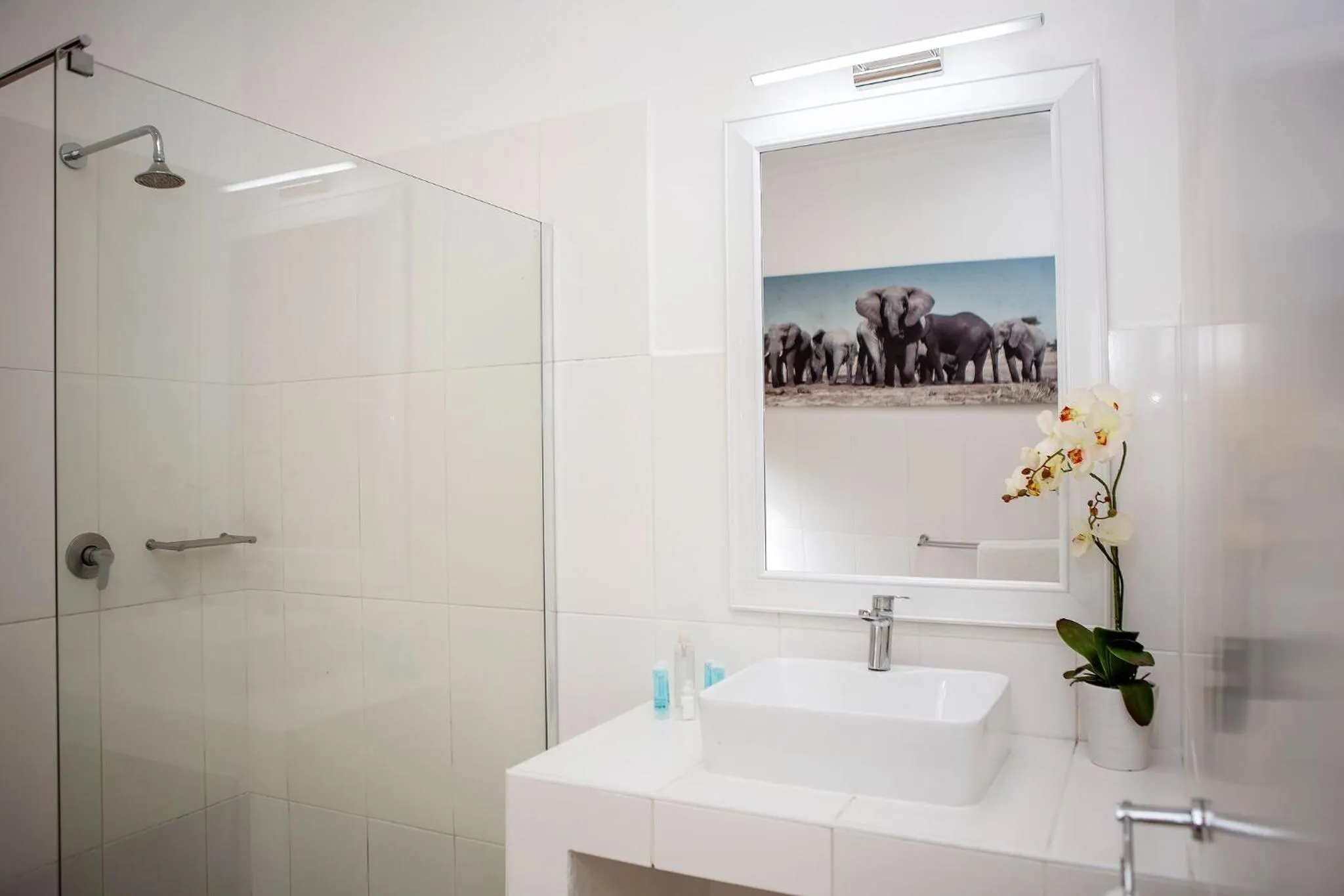 Shower in Emdoneni Lodge with Zululand Cat Conservation Project